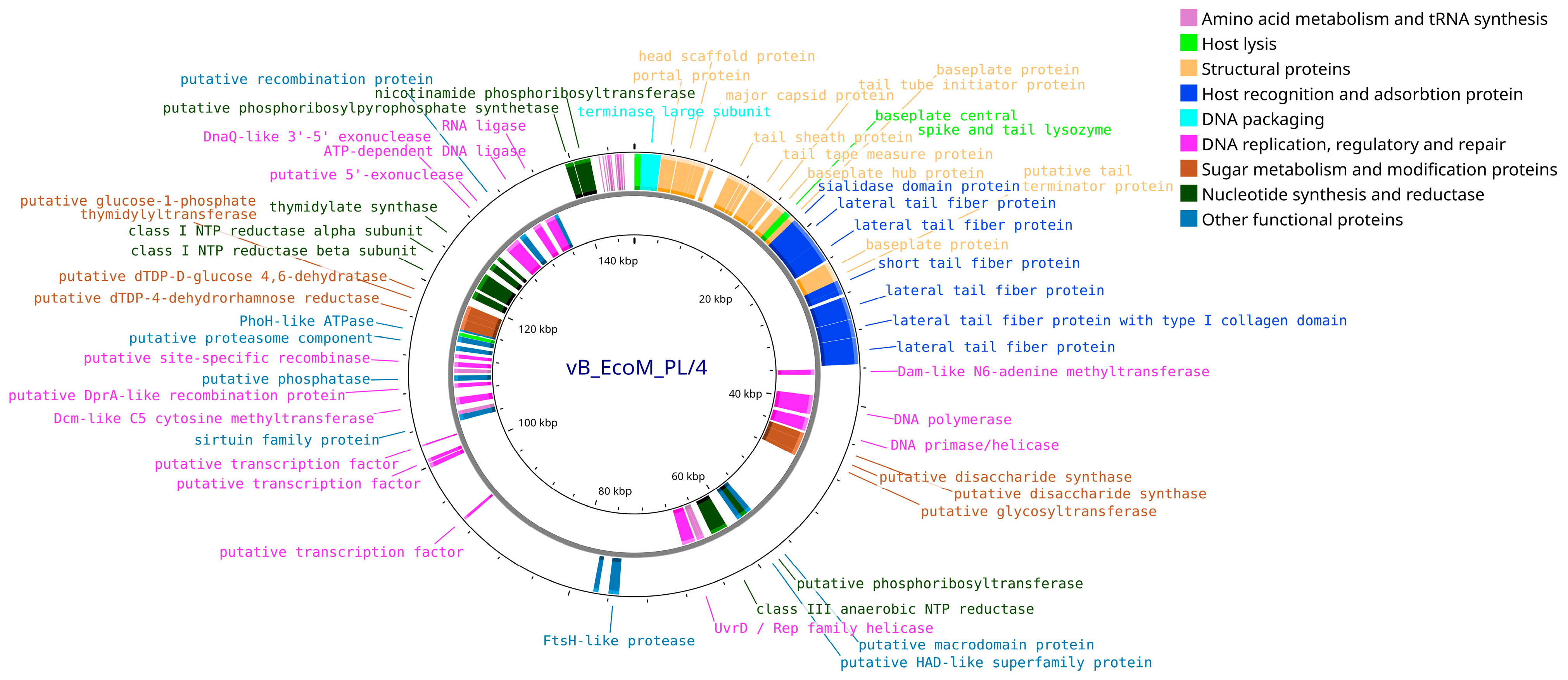 Vetsci 12 00817 g009