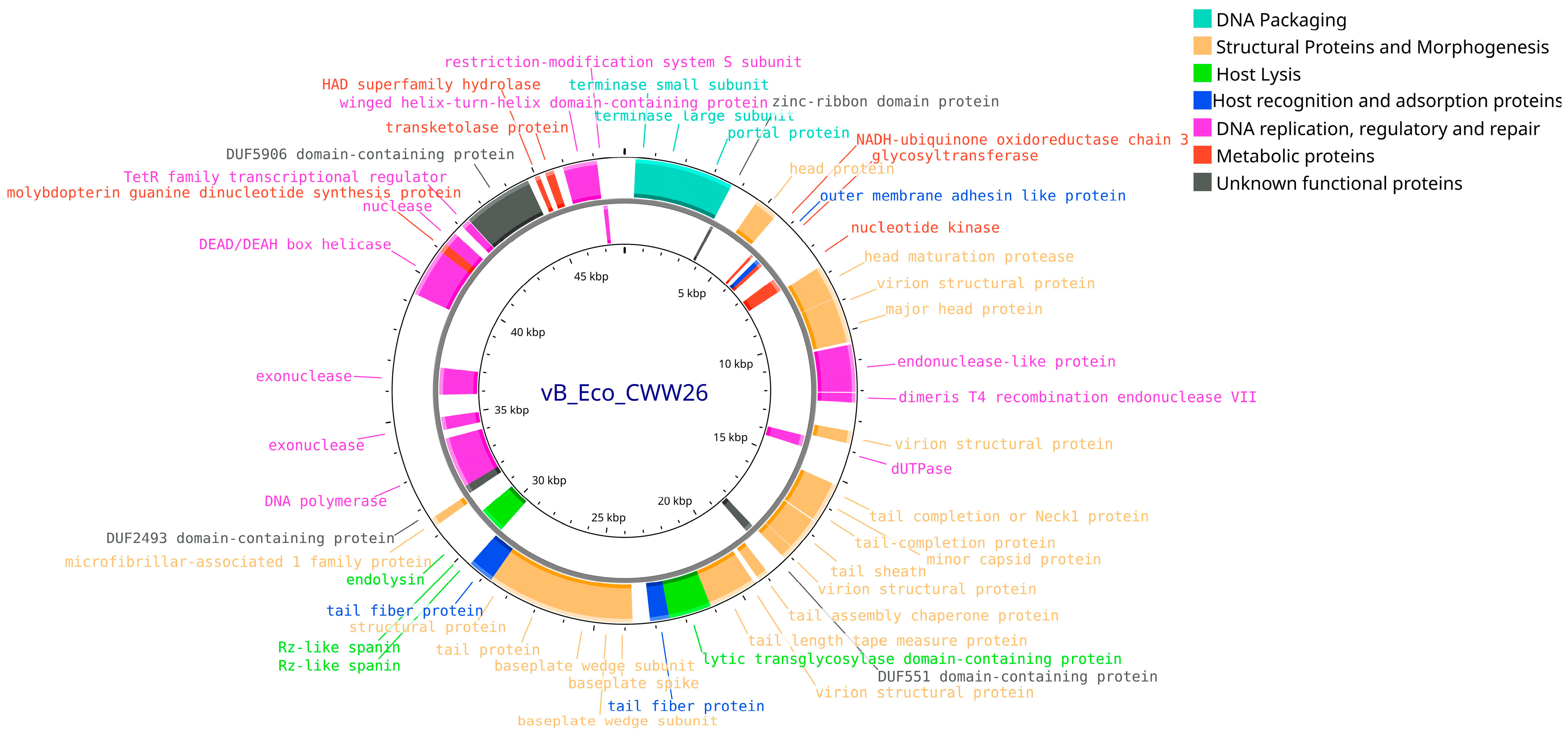 Vetsci 12 00817 g010