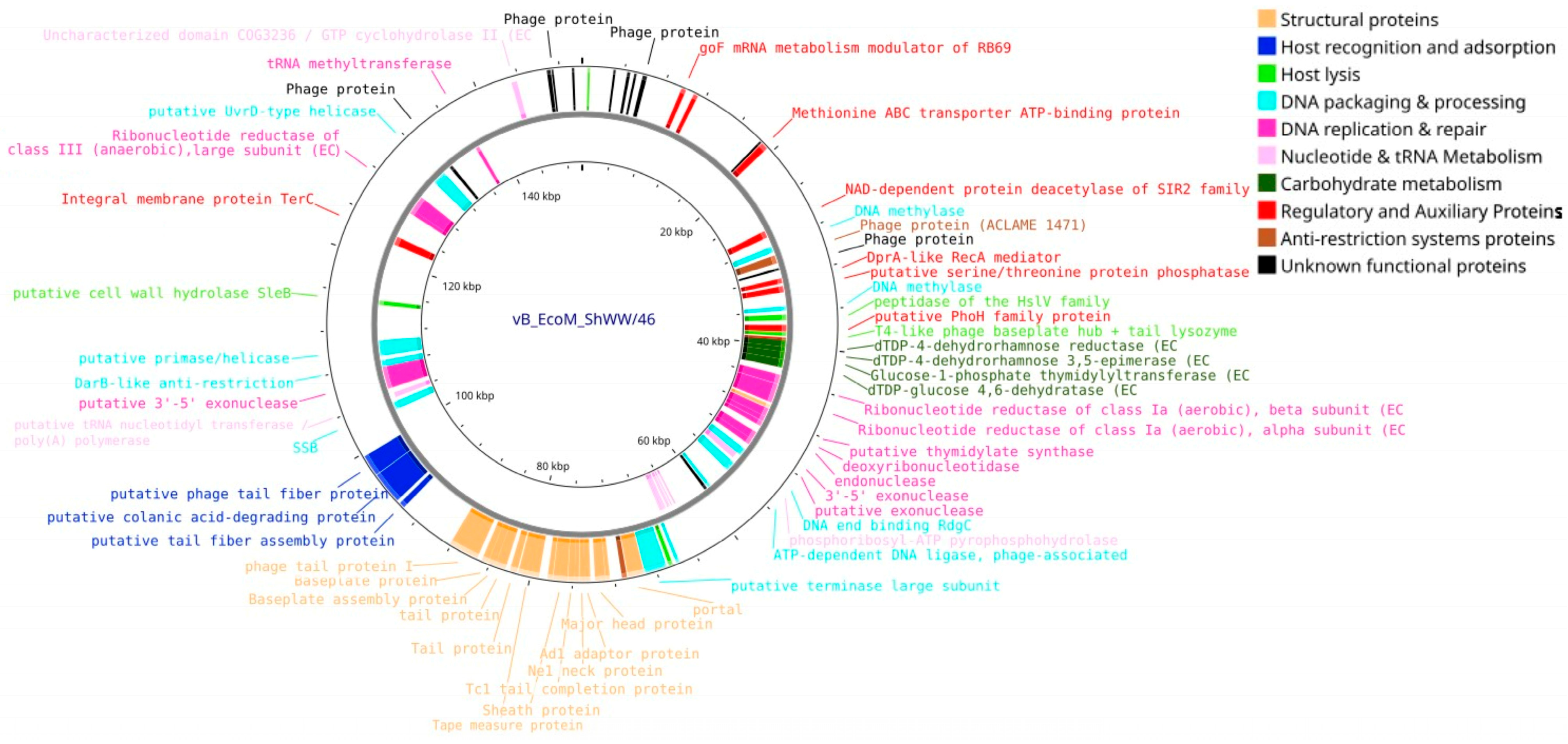 Vetsci 12 00817 g011