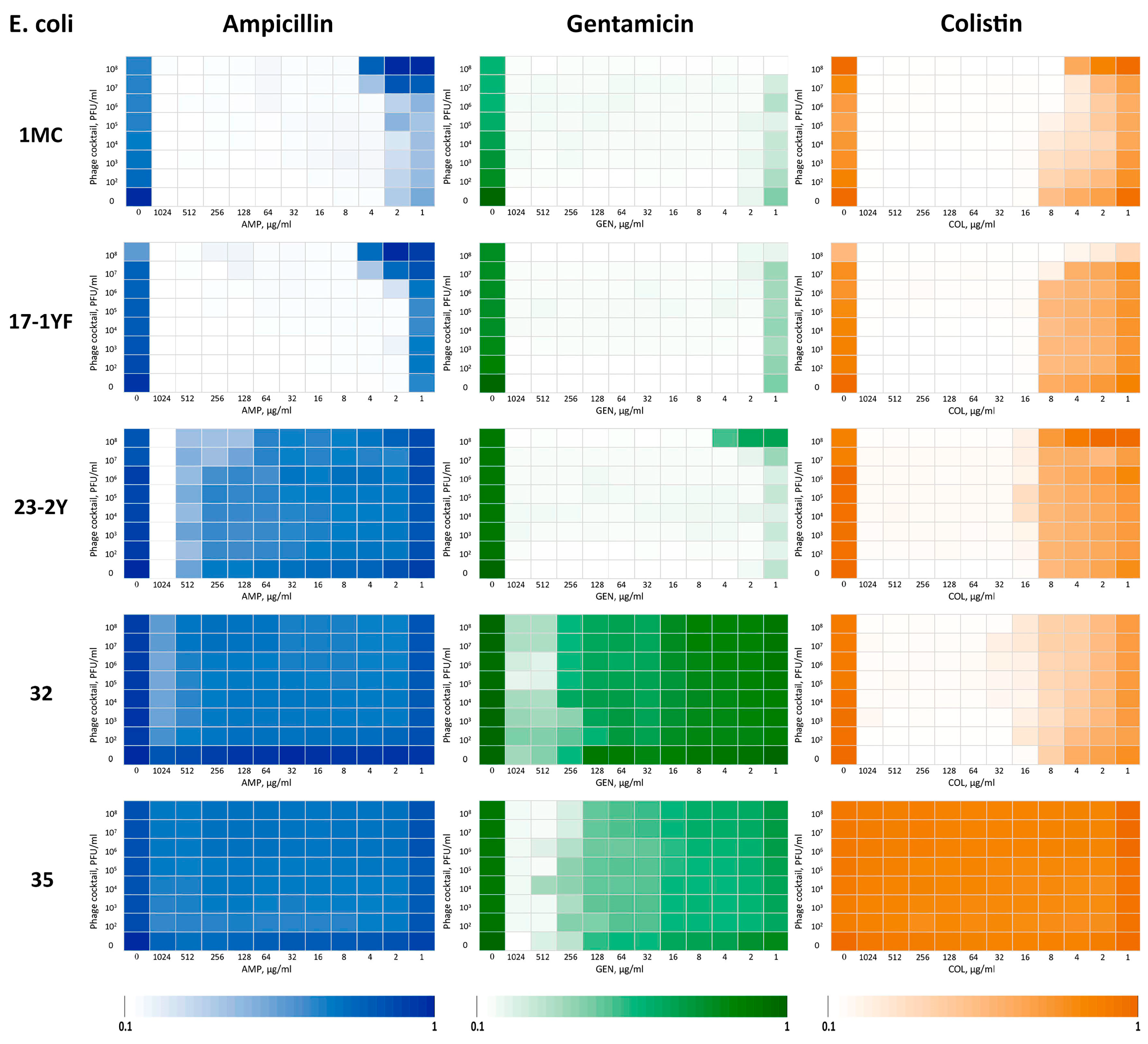 Vetsci 12 00817 g012