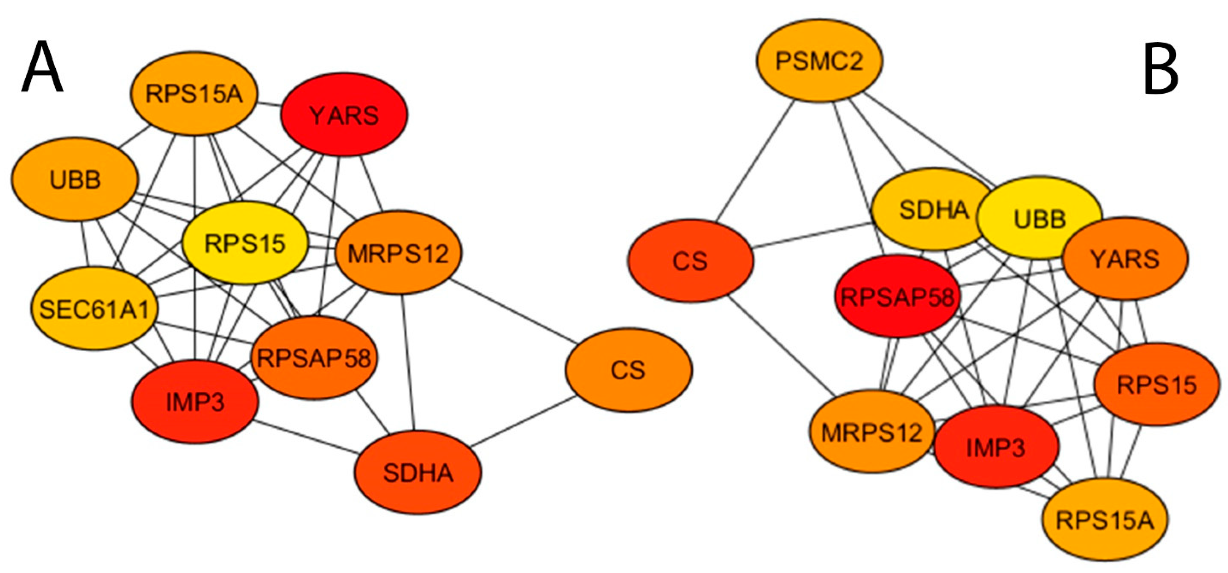 Vetsci 12 00822 g013