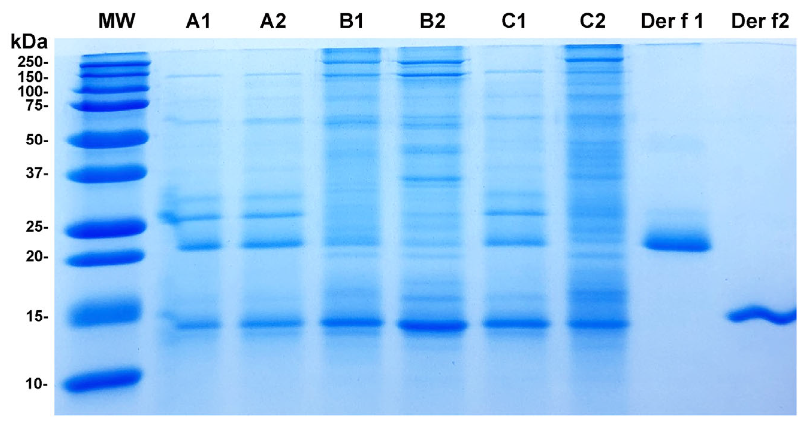 Vetsci 12 00824 g002 Vetsci 12 00824 g002