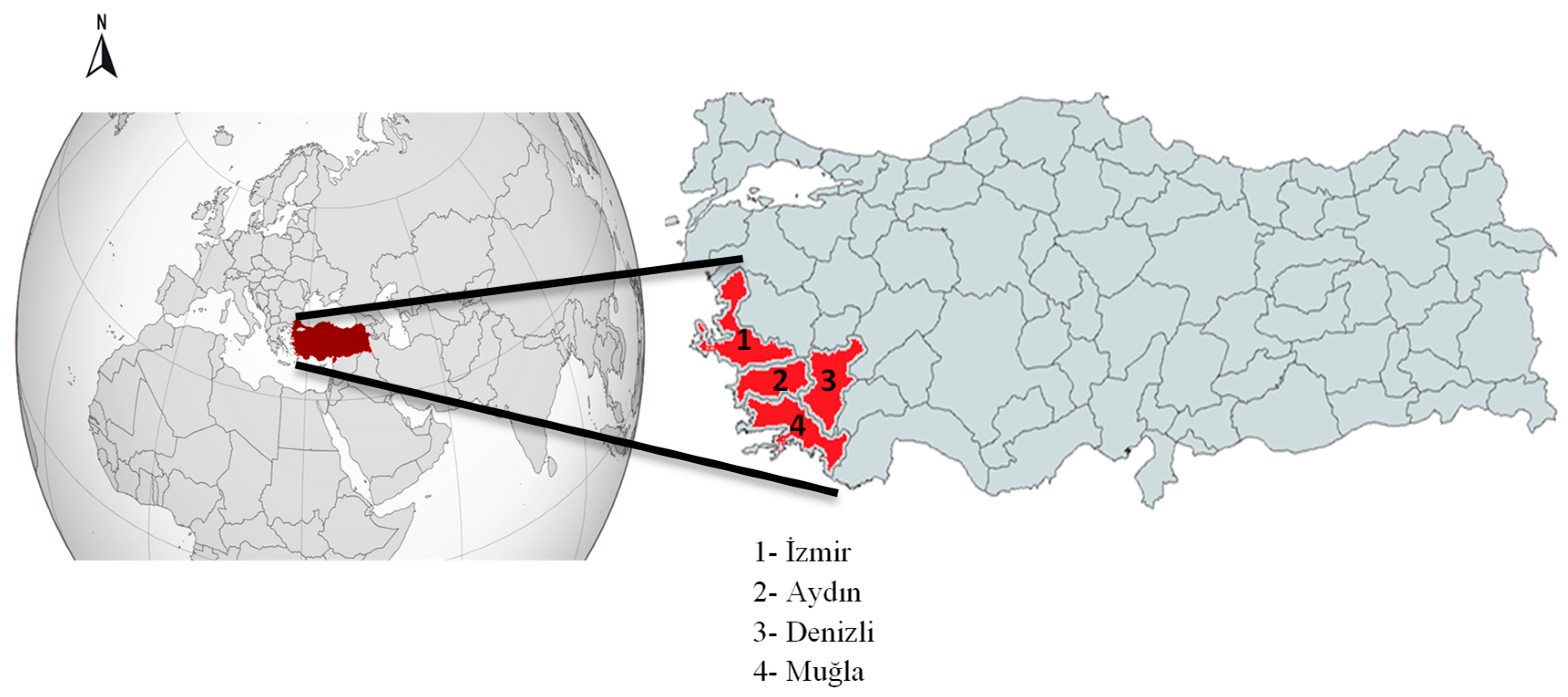 Vetsci 12 00826 g001