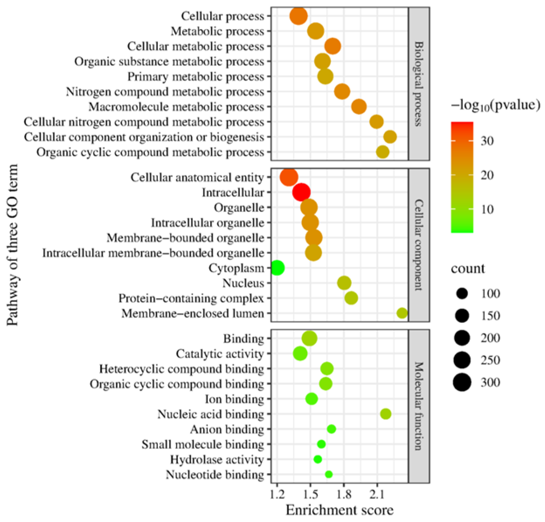 Vetsci 12 00827 g001