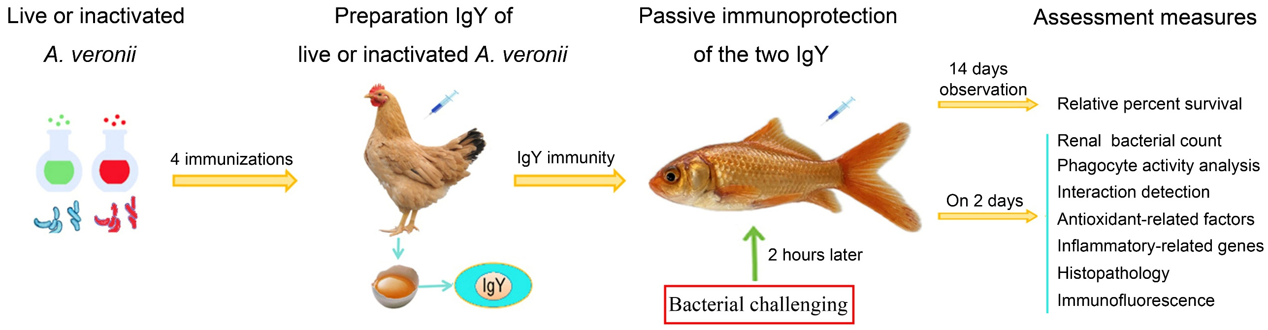 Vetsci 12 00831 g001