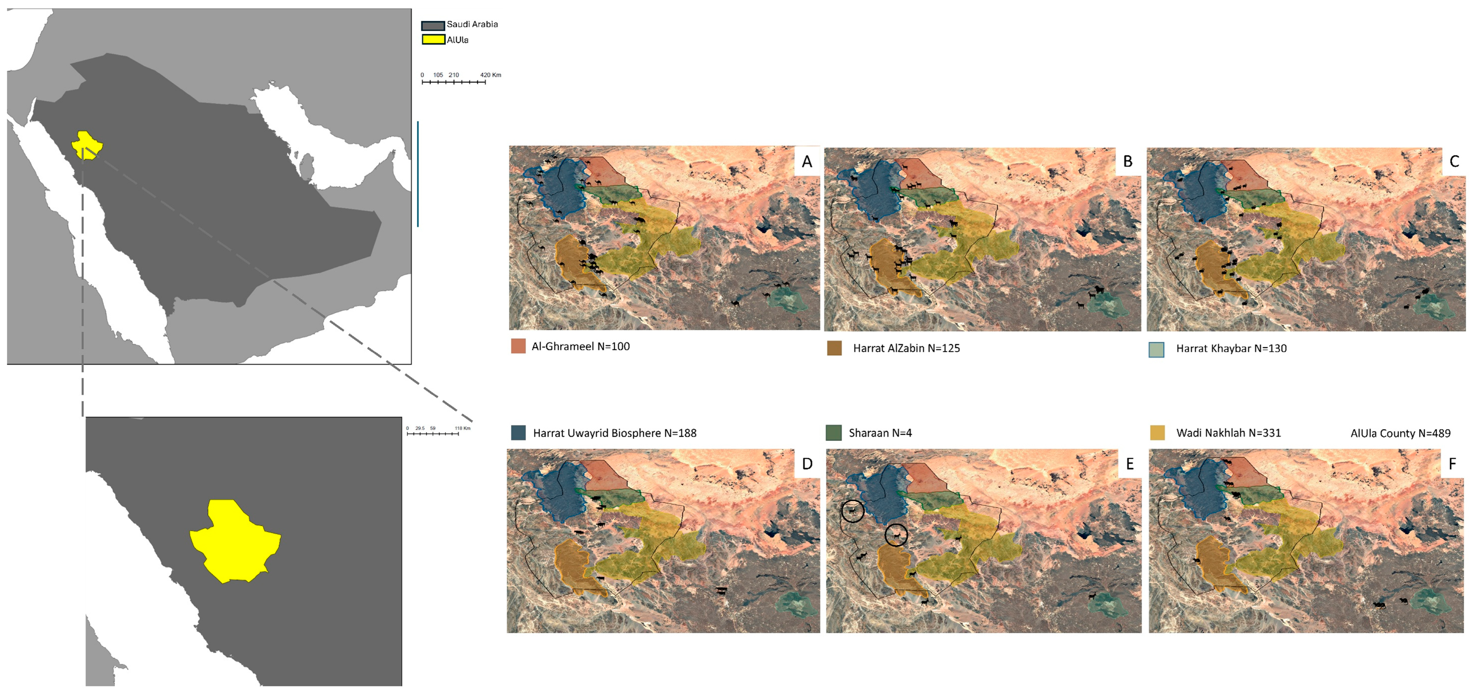 Vetsci 12 00836 g001
