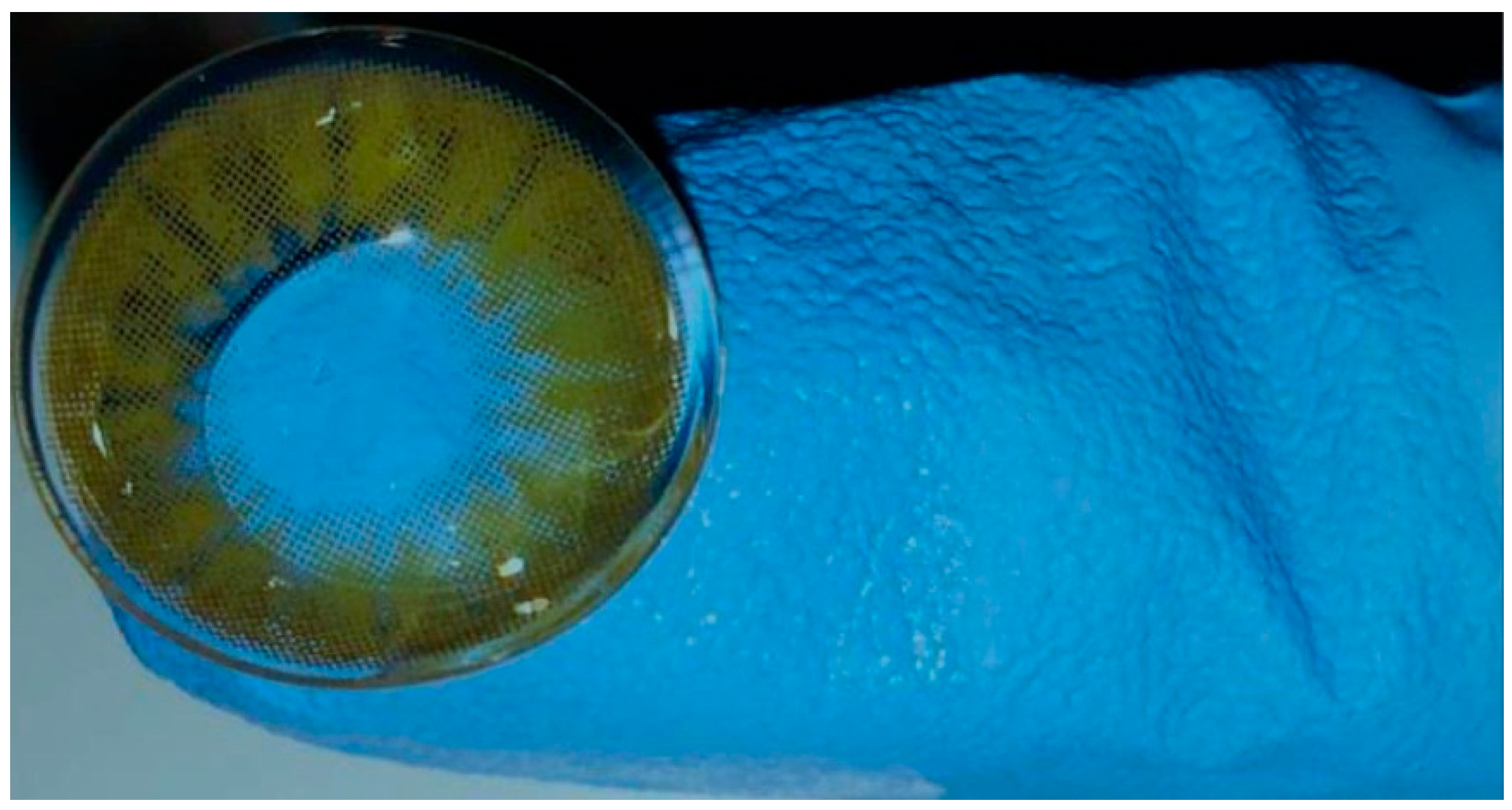 Vetsci 12 00839 g002