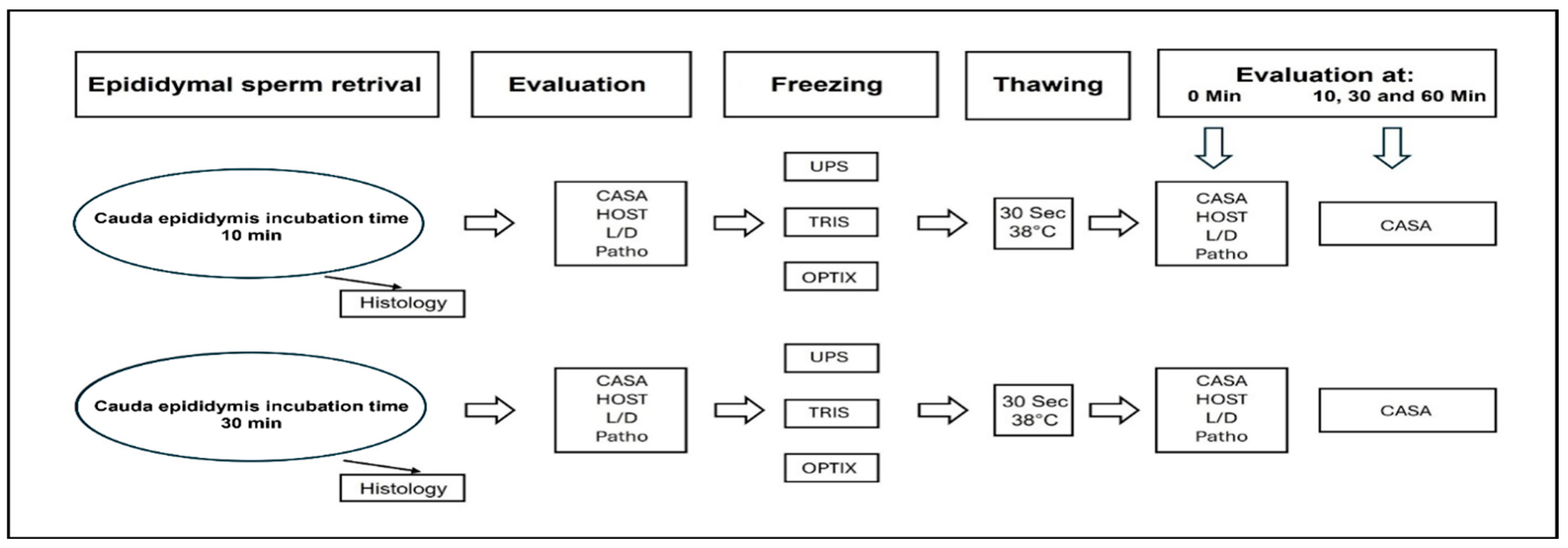 Vetsci 12 00840 g001