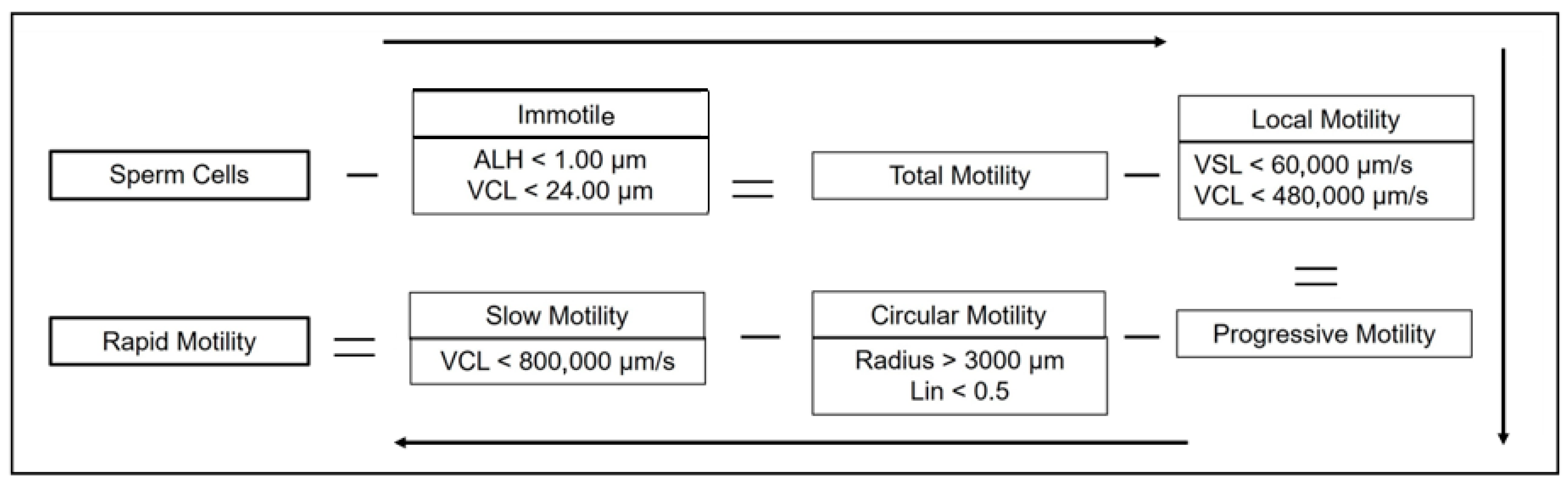 Vetsci 12 00840 g002