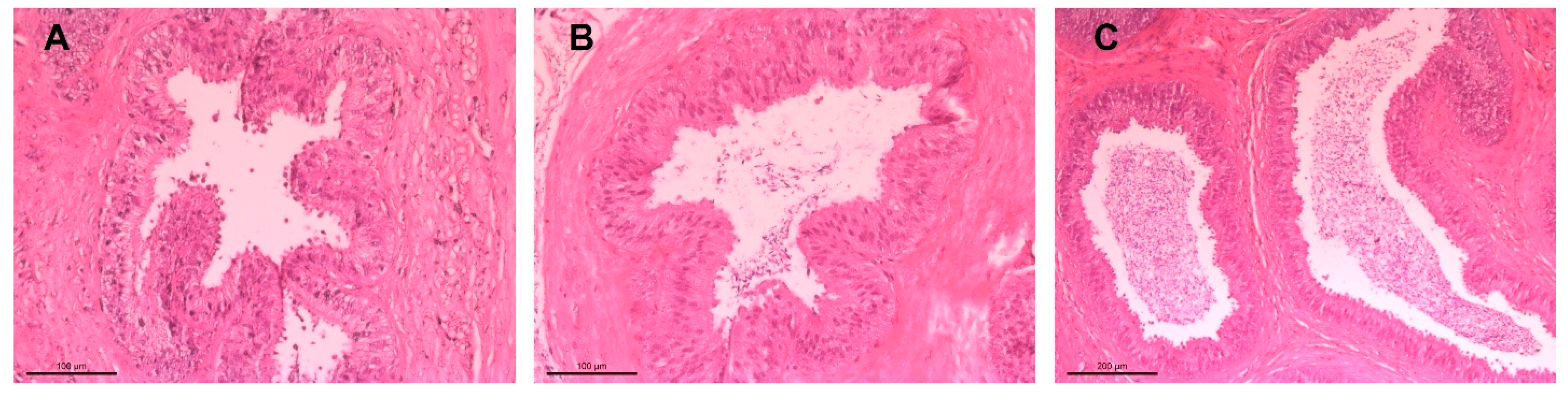 Vetsci 12 00840 g004