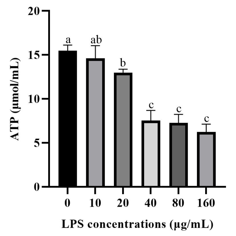 Vetsci 12 00841 g002 Vetsci 12 00841 g002