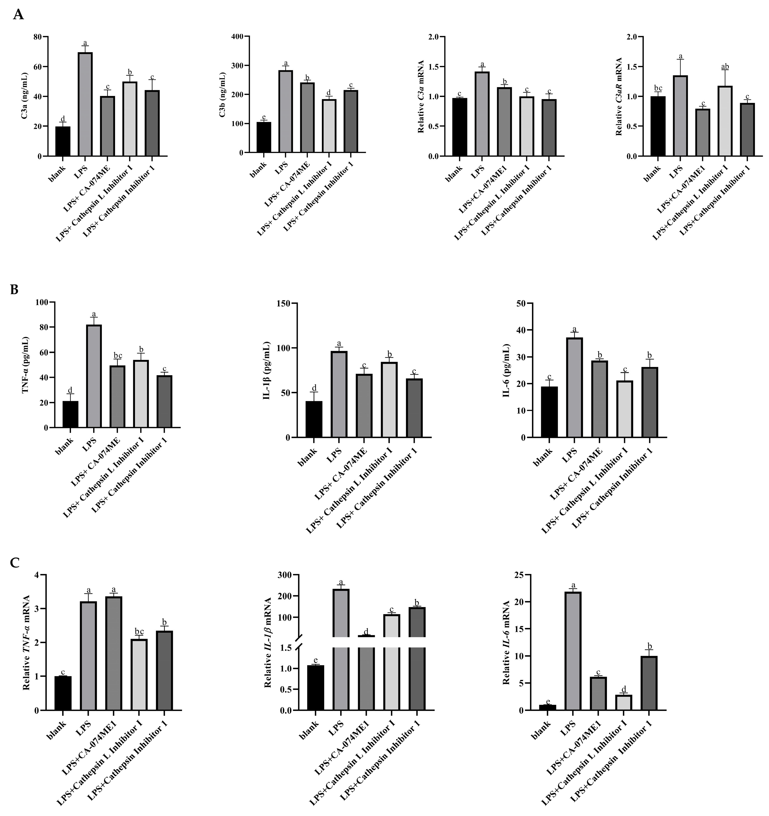 Vetsci 12 00841 g003 Vetsci 12 00841 g003