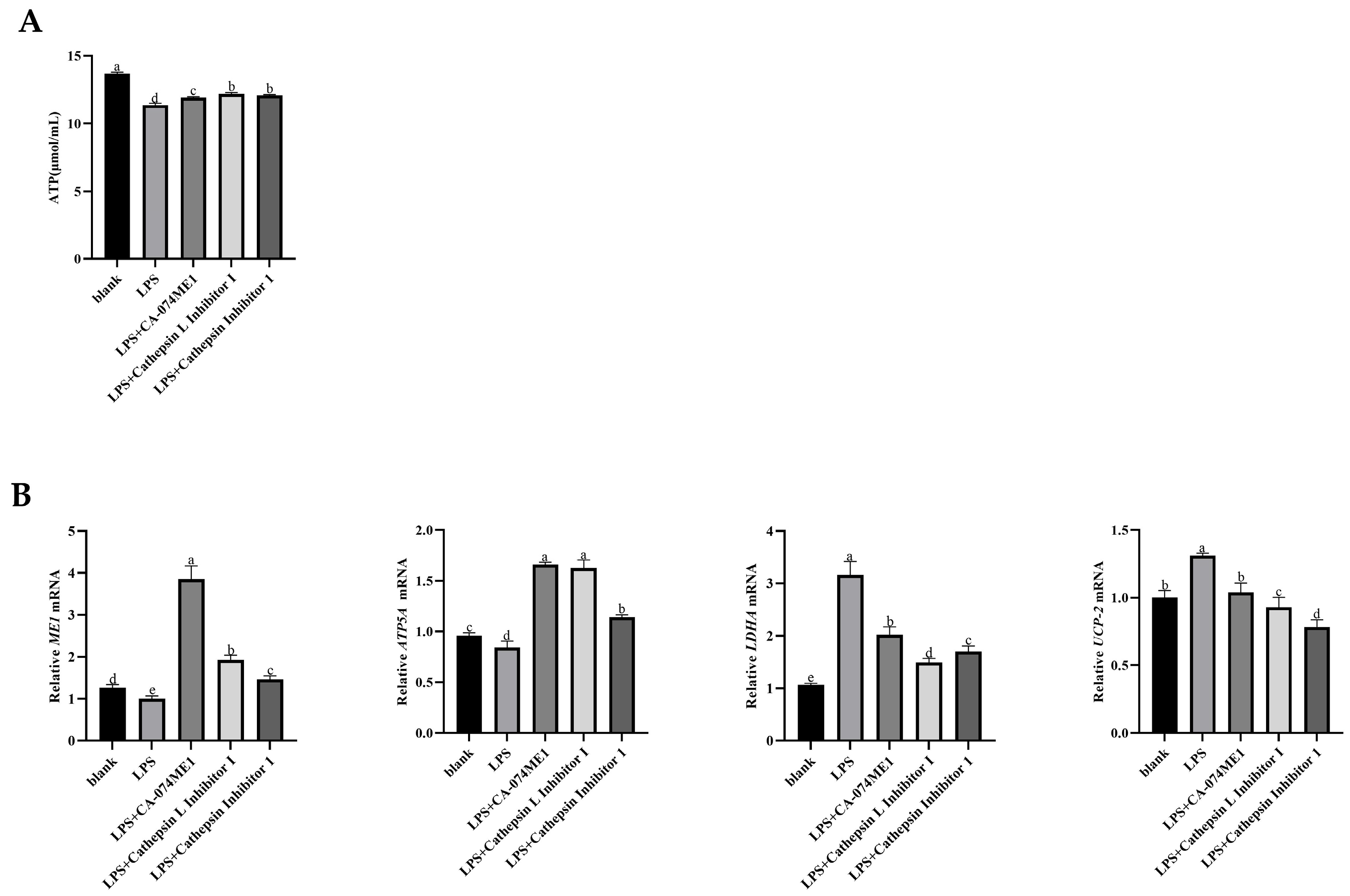 Vetsci 12 00841 g004 Vetsci 12 00841 g004