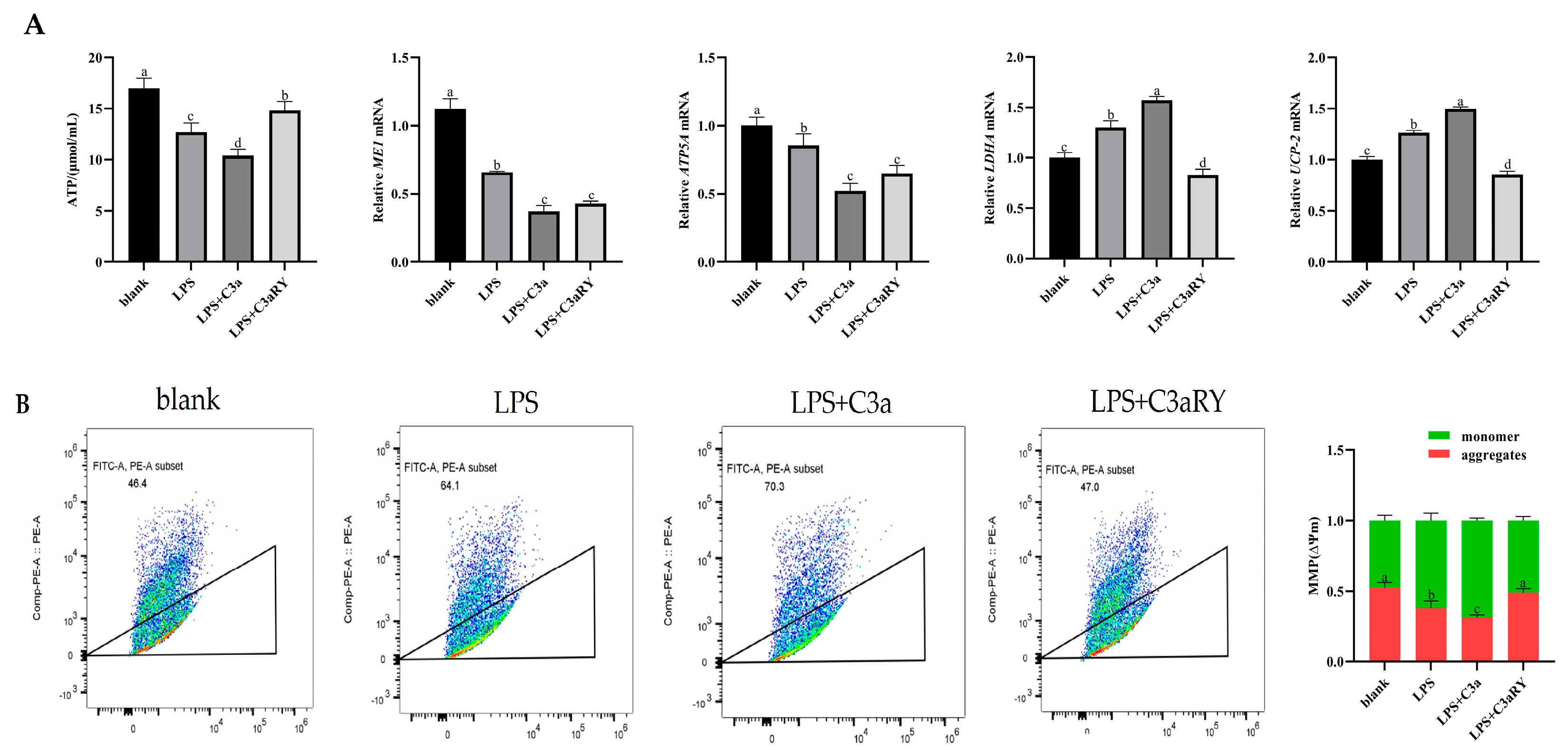Vetsci 12 00841 g006 Vetsci 12 00841 g006