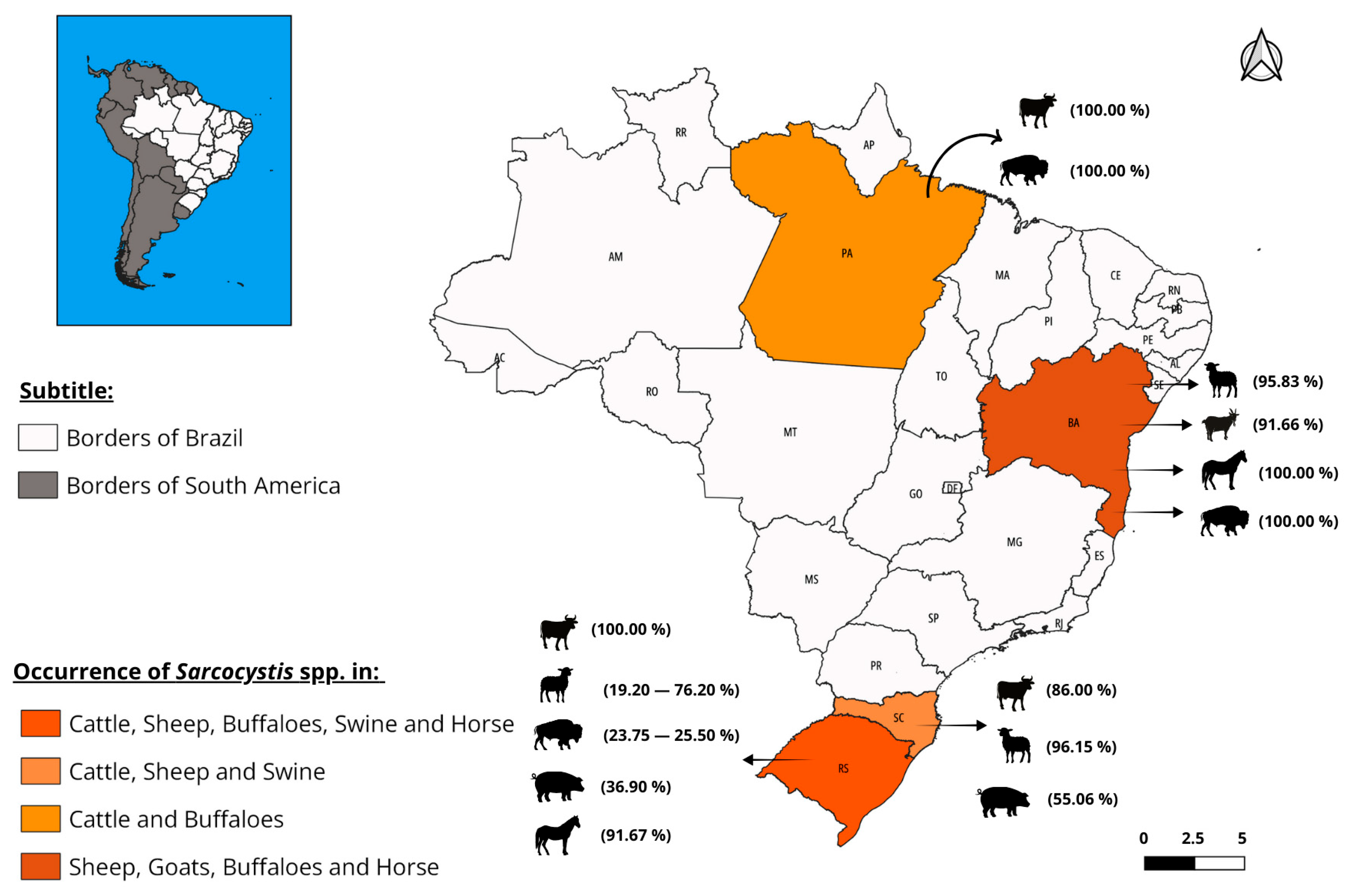 Vetsci 12 00842 g002