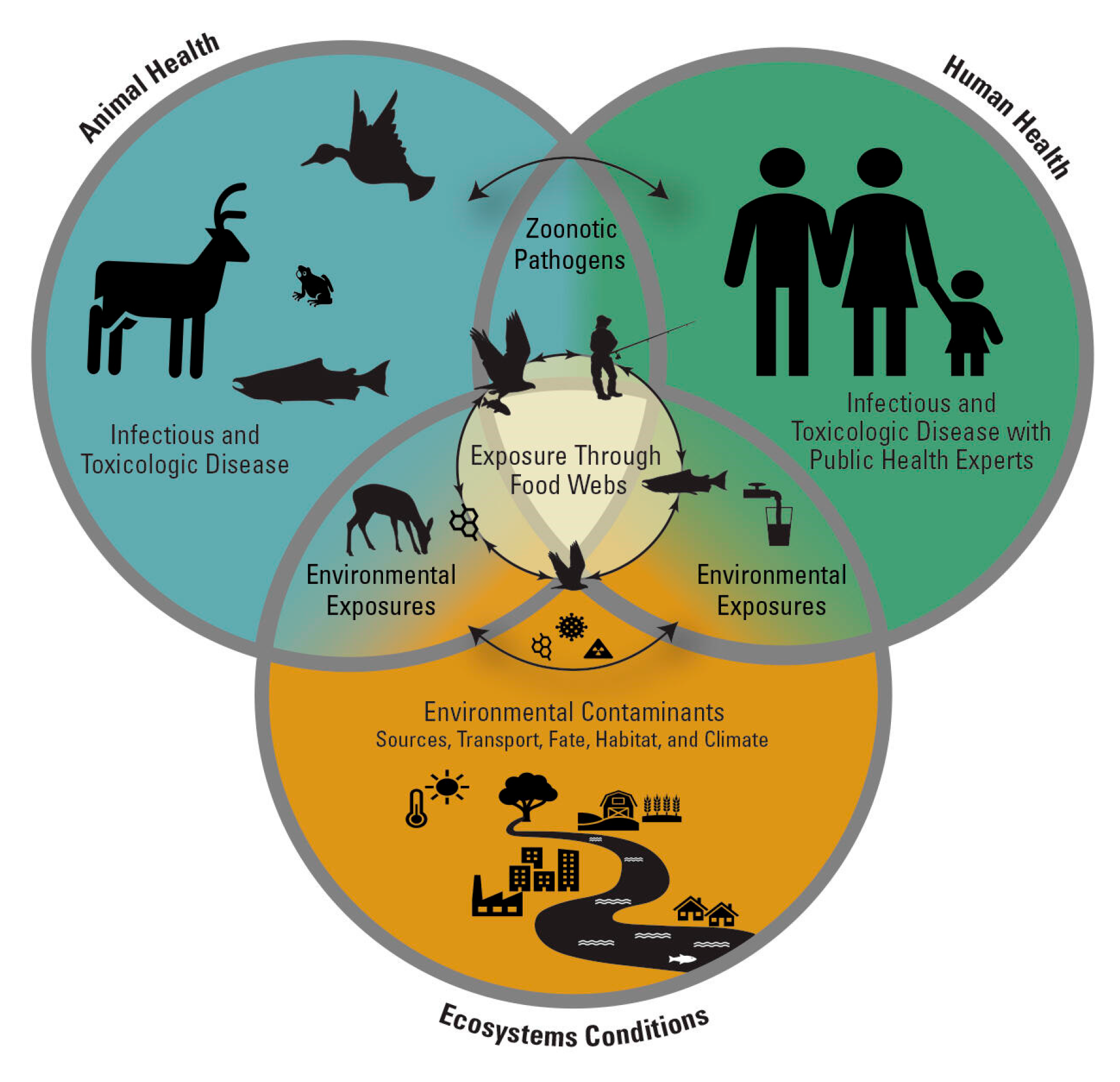 Vetsci 12 00844 g001