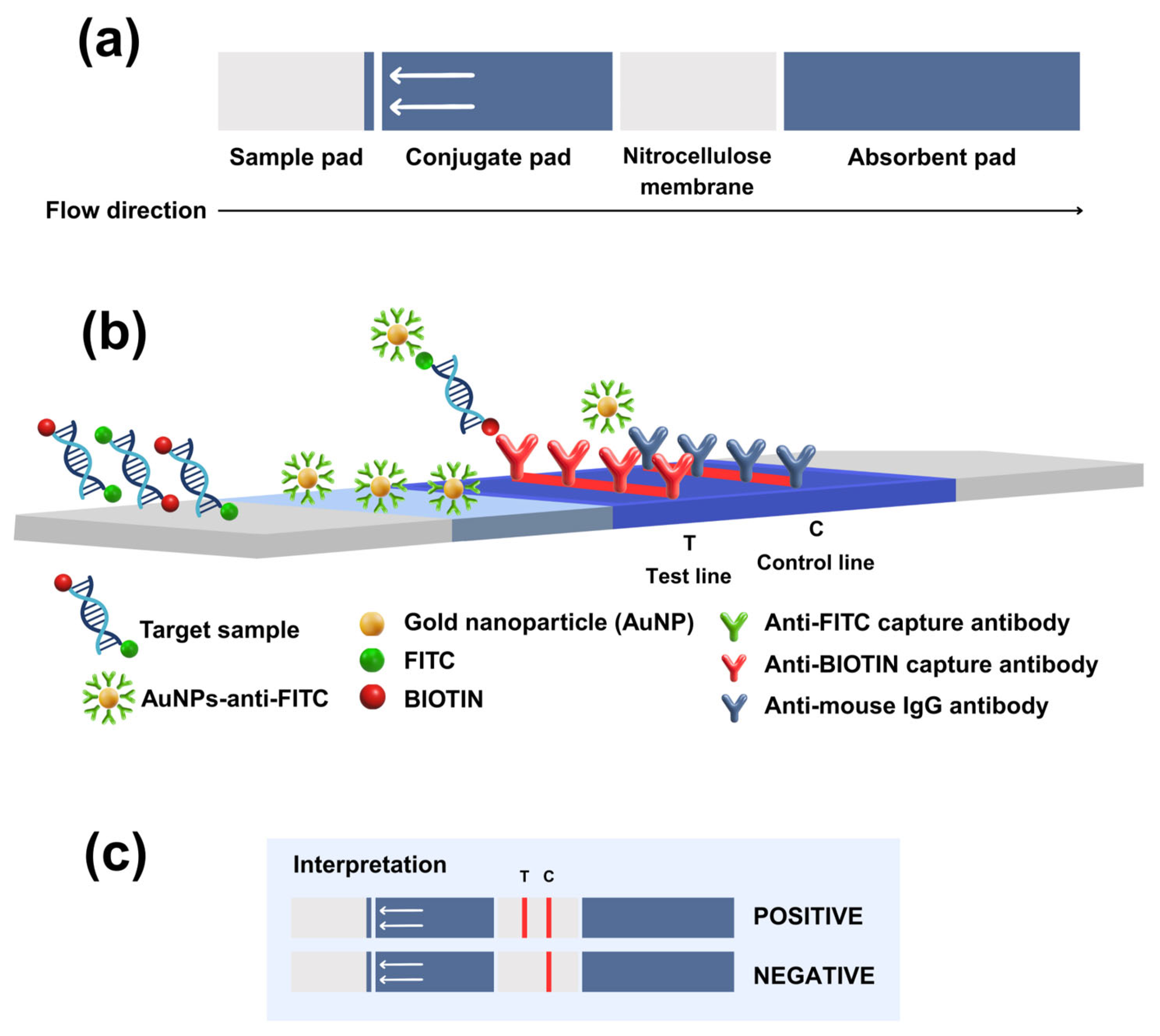Vetsci 12 00845 g002 Vetsci 12 00845 g002