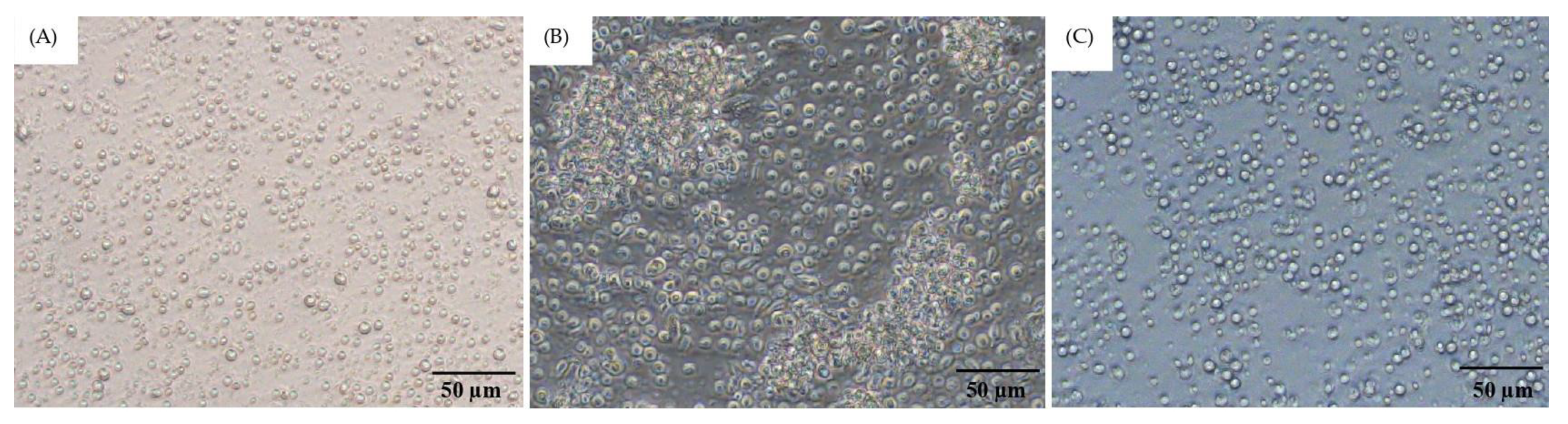 Vetsci 12 00847 g004