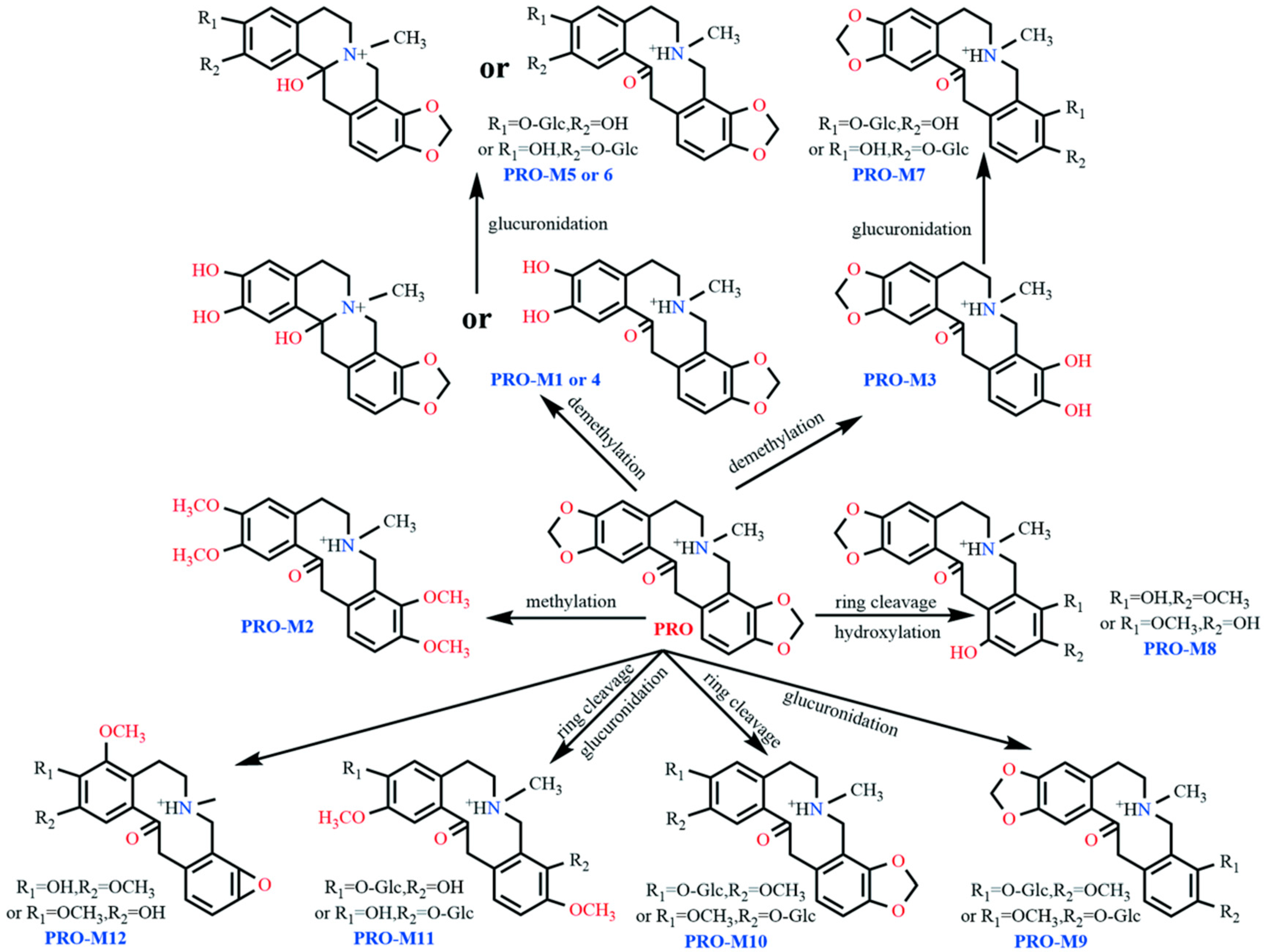 Vetsci 12 00848 g008