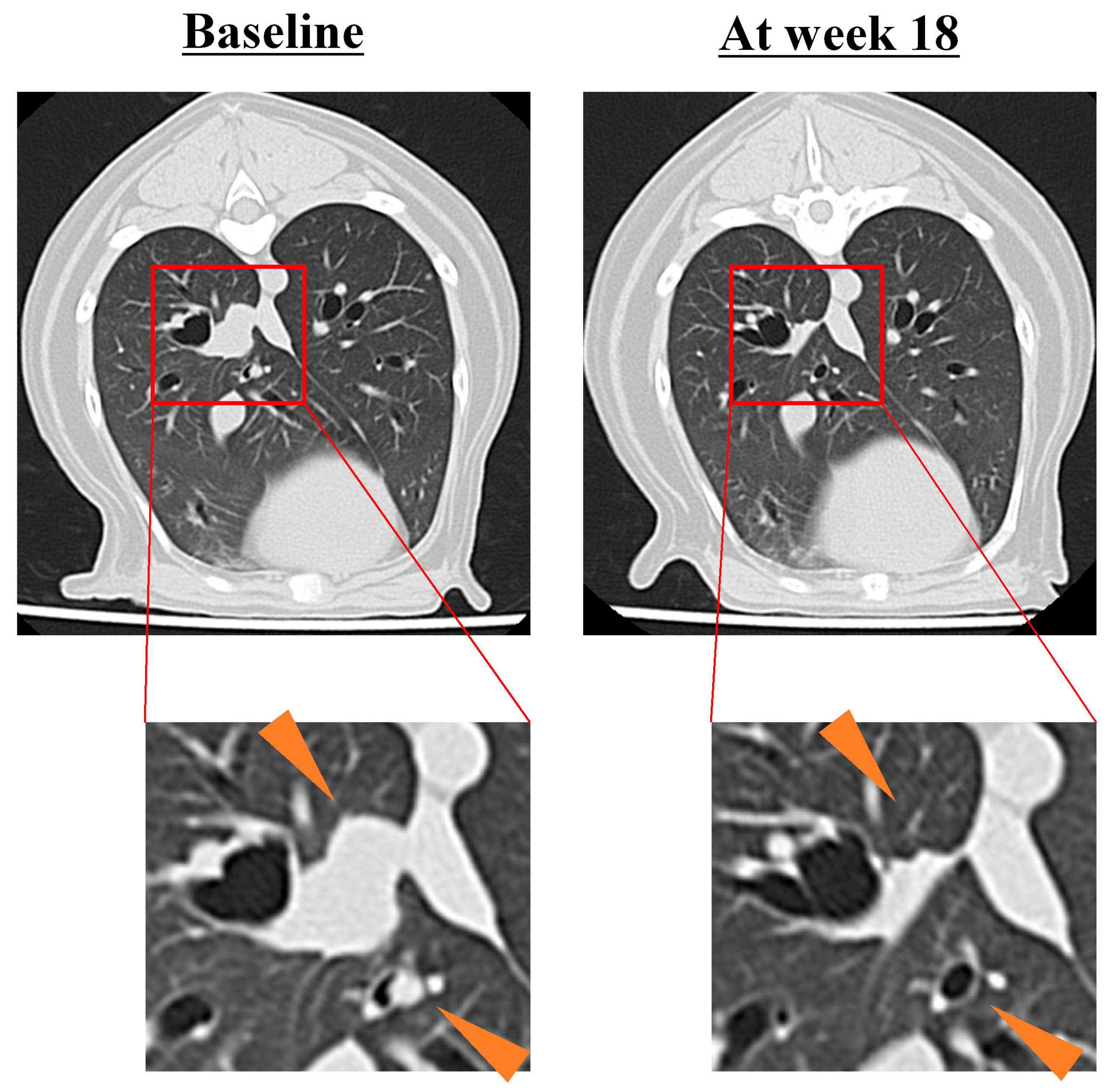 Vetsci 12 00850 g001