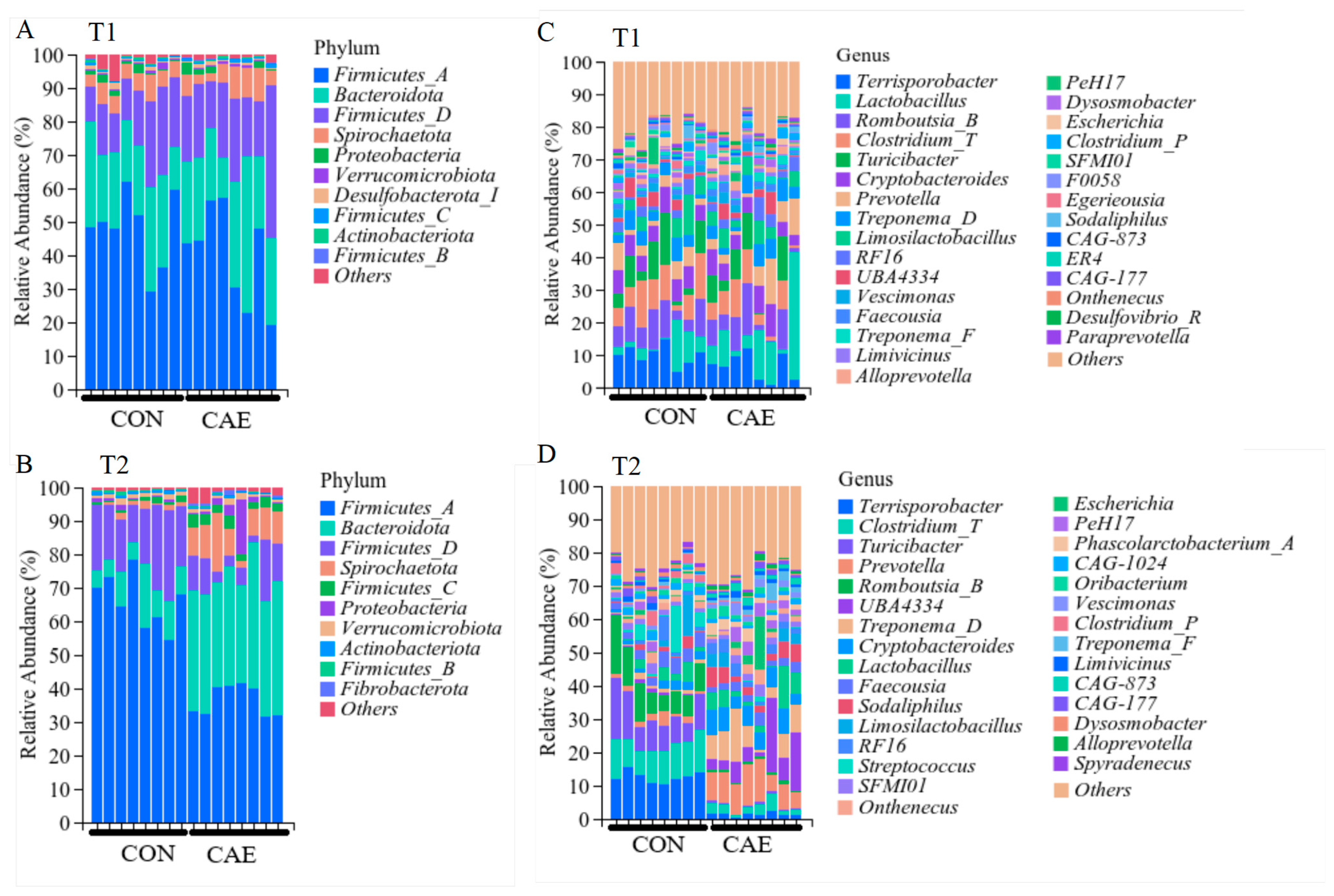 Vetsci 12 00857 g005