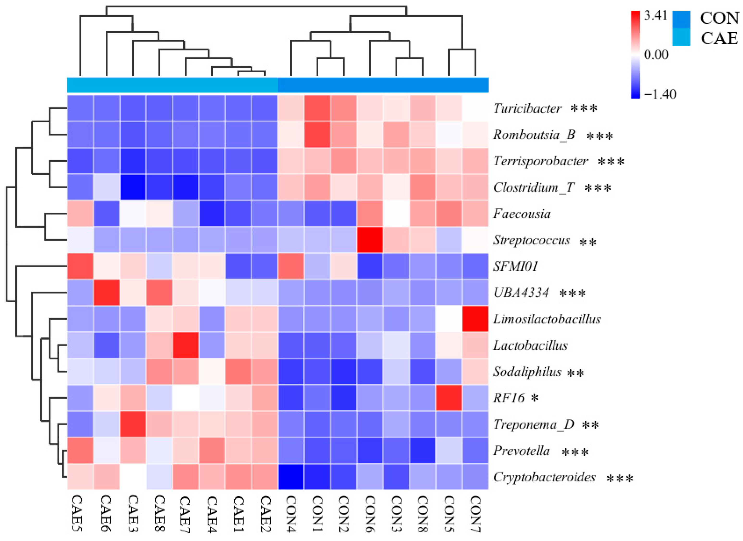Vetsci 12 00857 g006