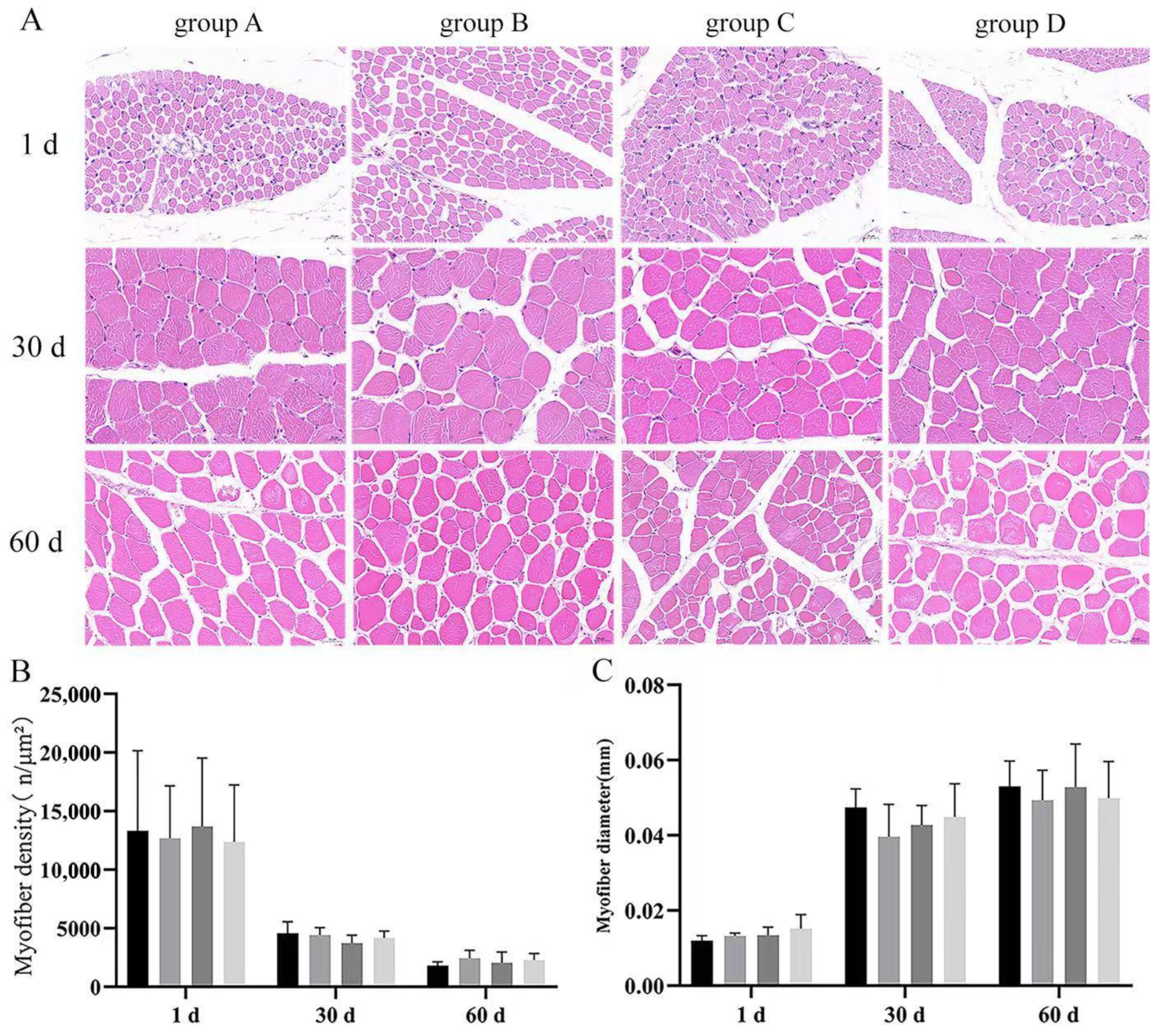 Vetsci 12 00861 g005