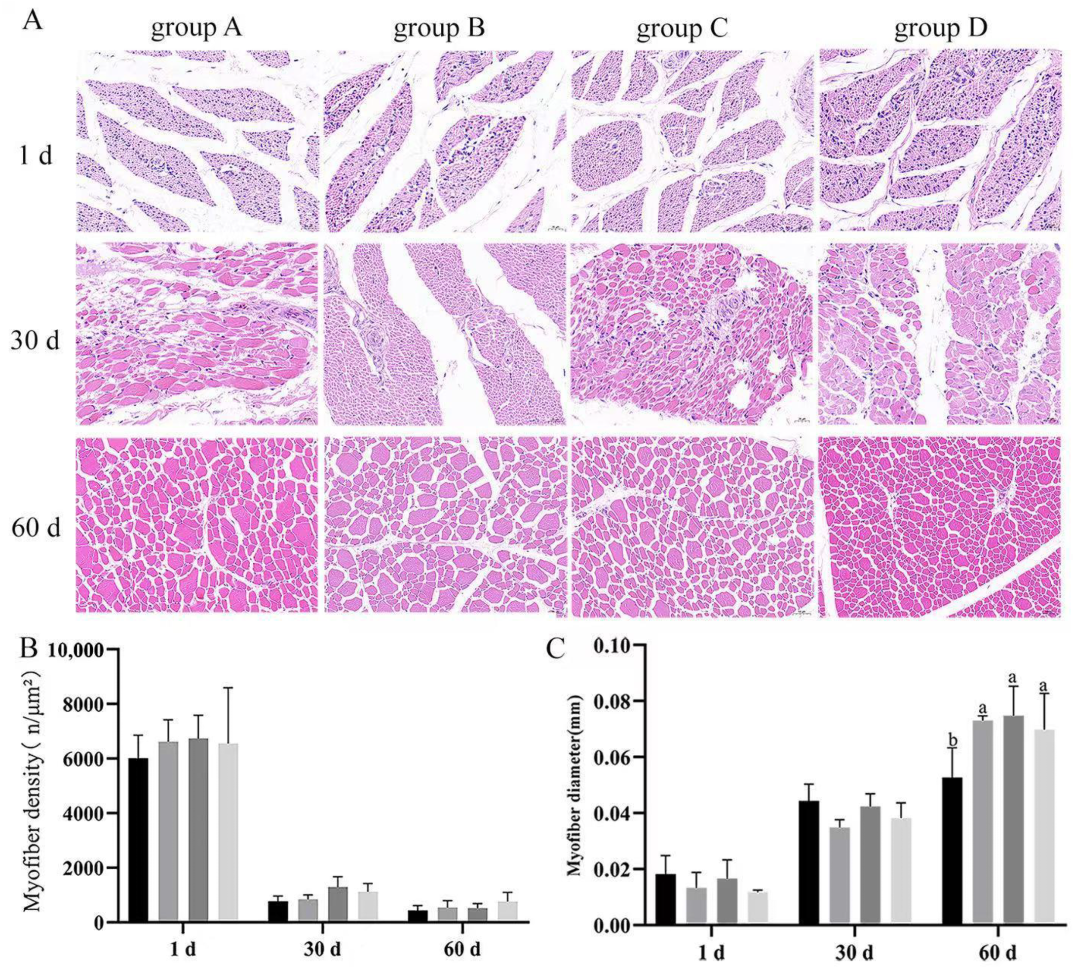 Vetsci 12 00861 g006