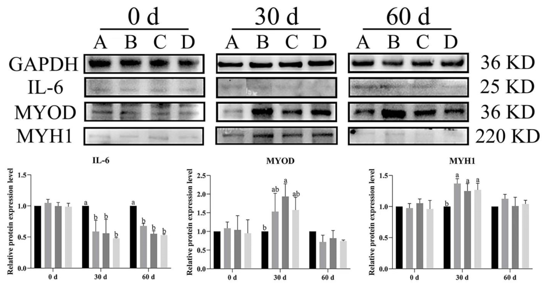 Vetsci 12 00861 g009