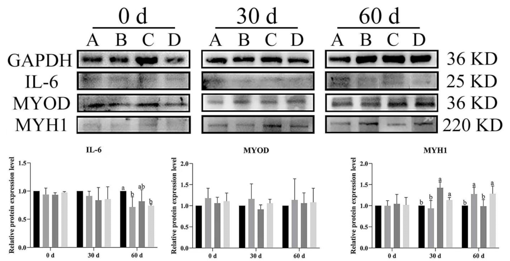 Vetsci 12 00861 g010