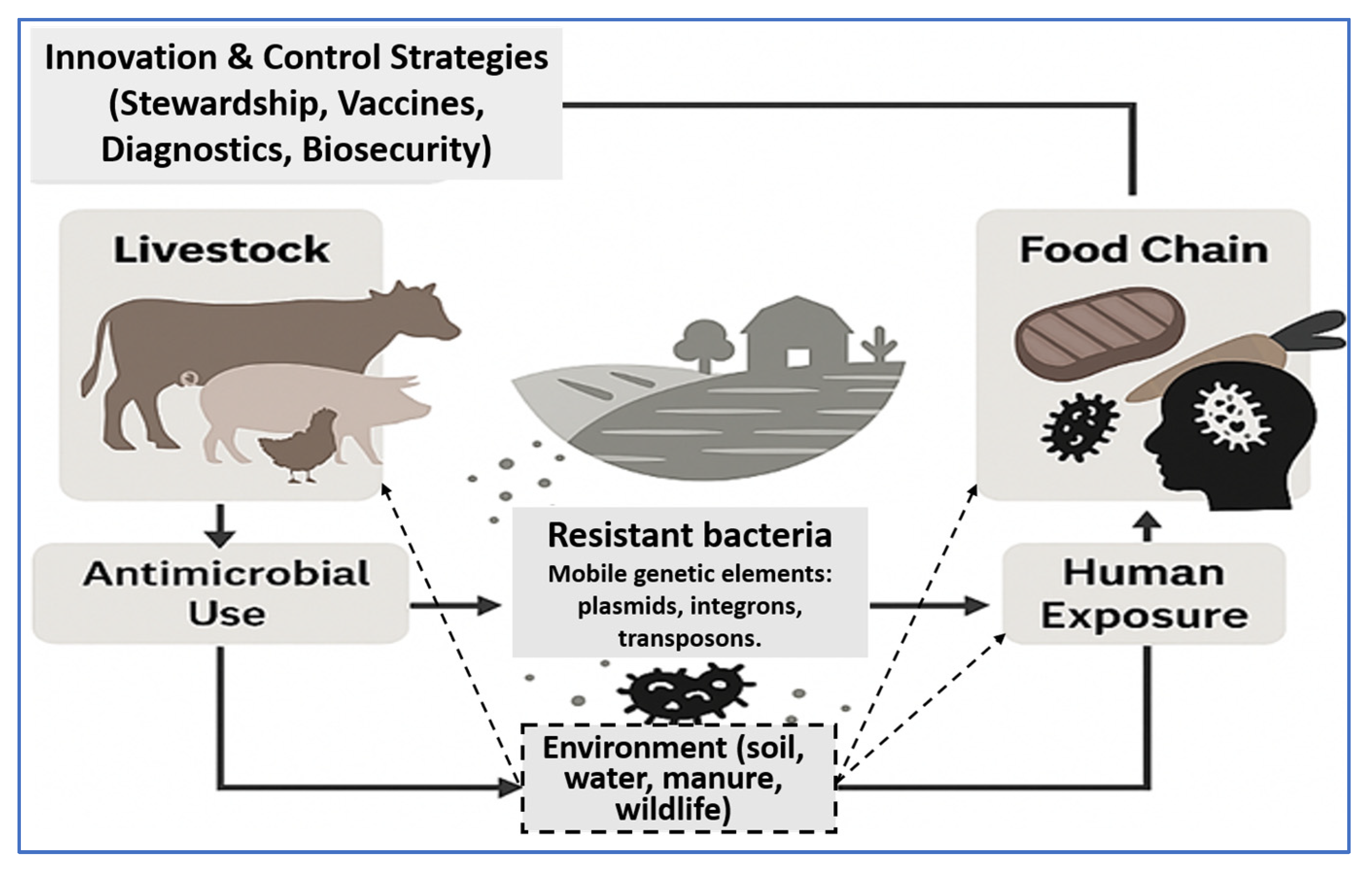 Vetsci 12 00862 g001