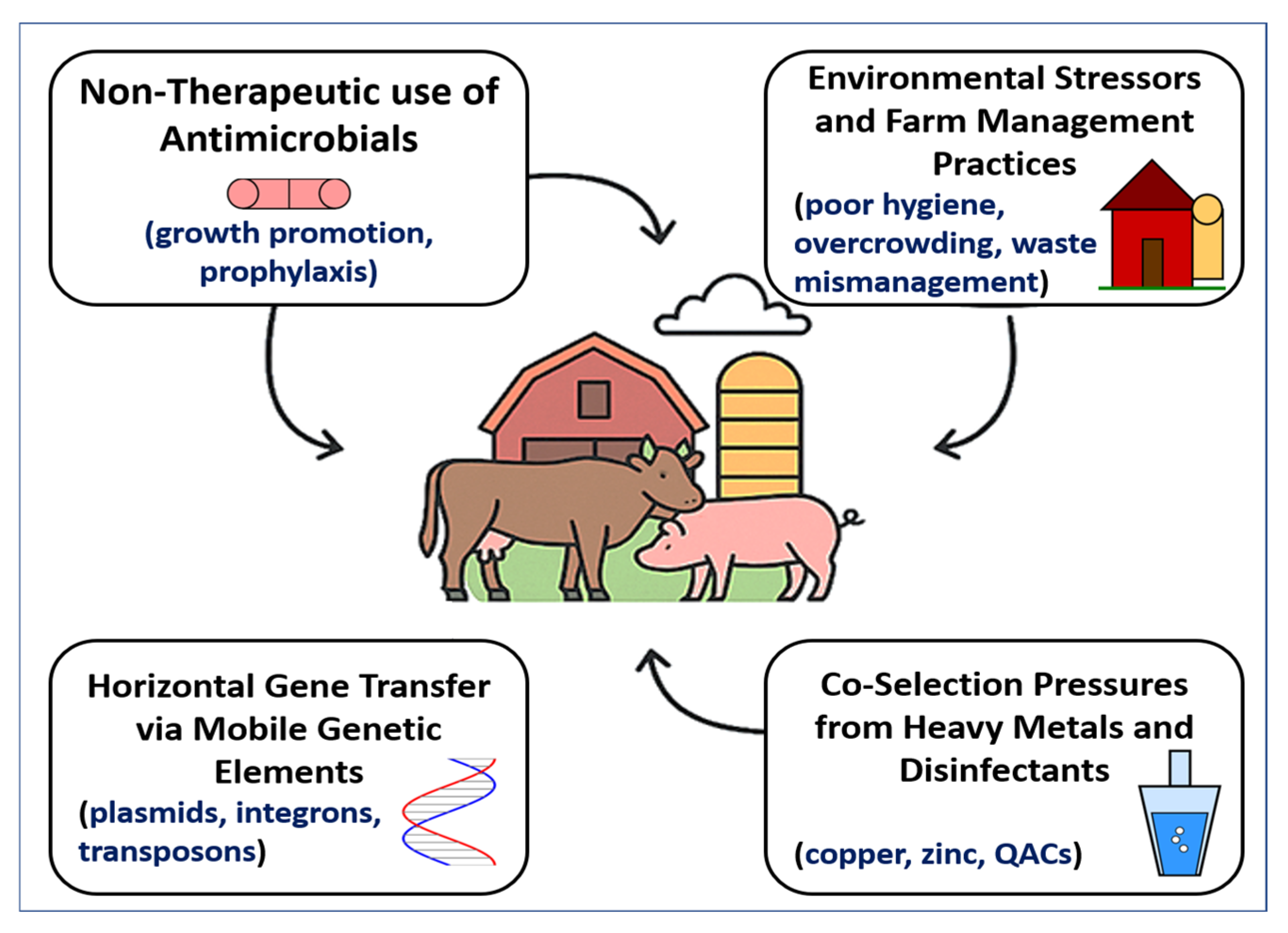 Vetsci 12 00862 g002