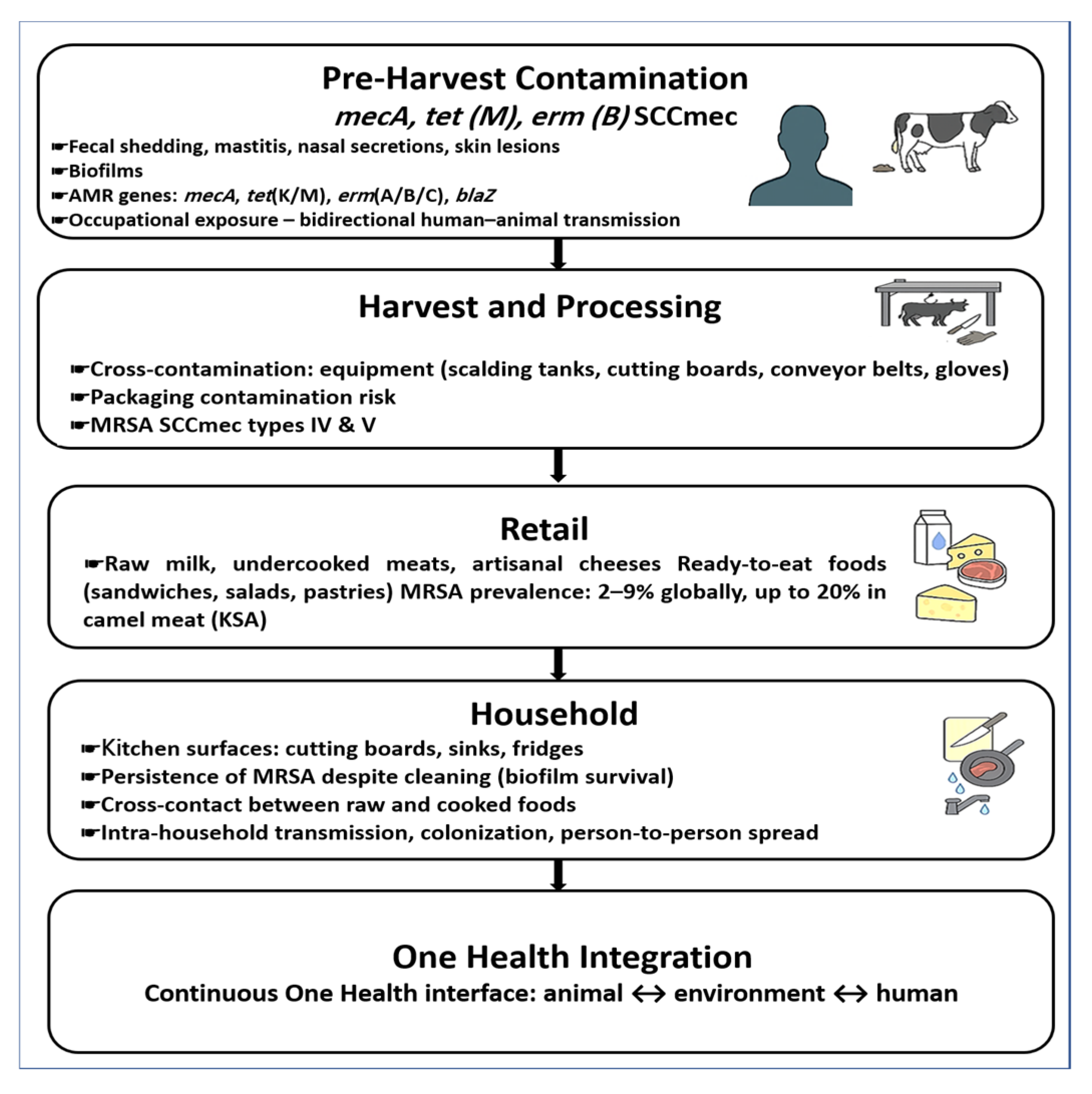 Vetsci 12 00862 g003