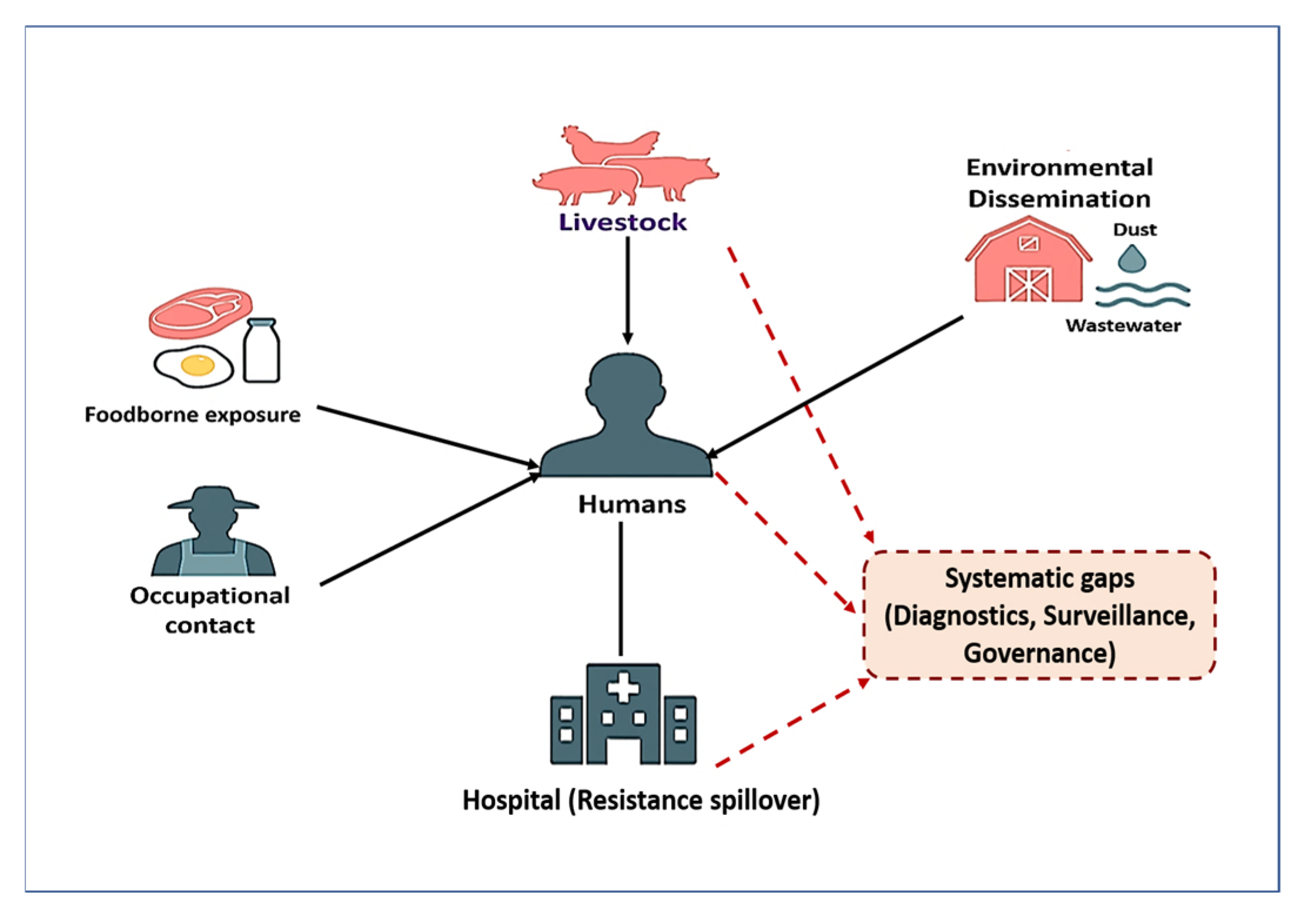 Vetsci 12 00862 g005