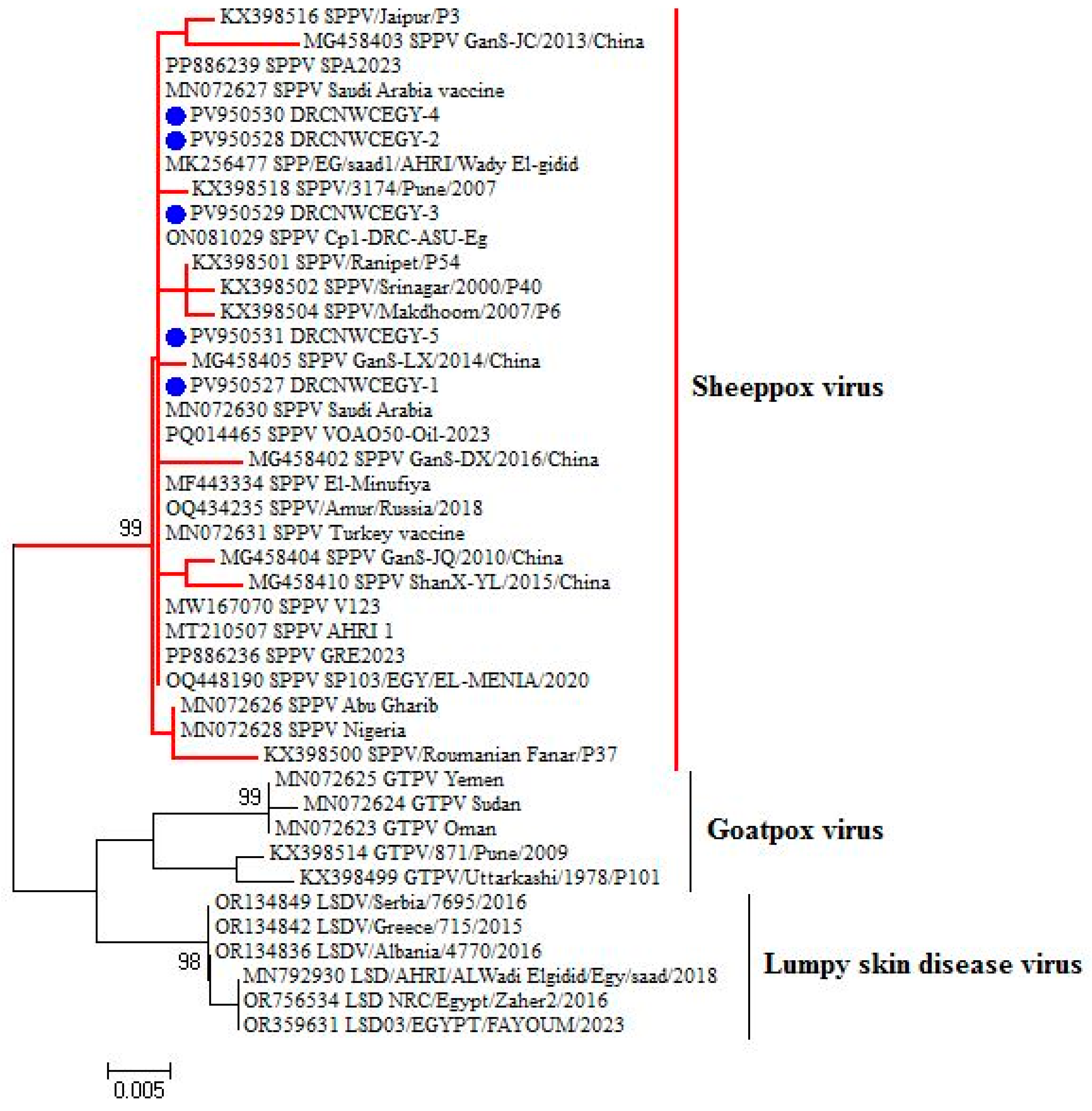 Vetsci 12 00867 g005 Vetsci 12 00867 g005