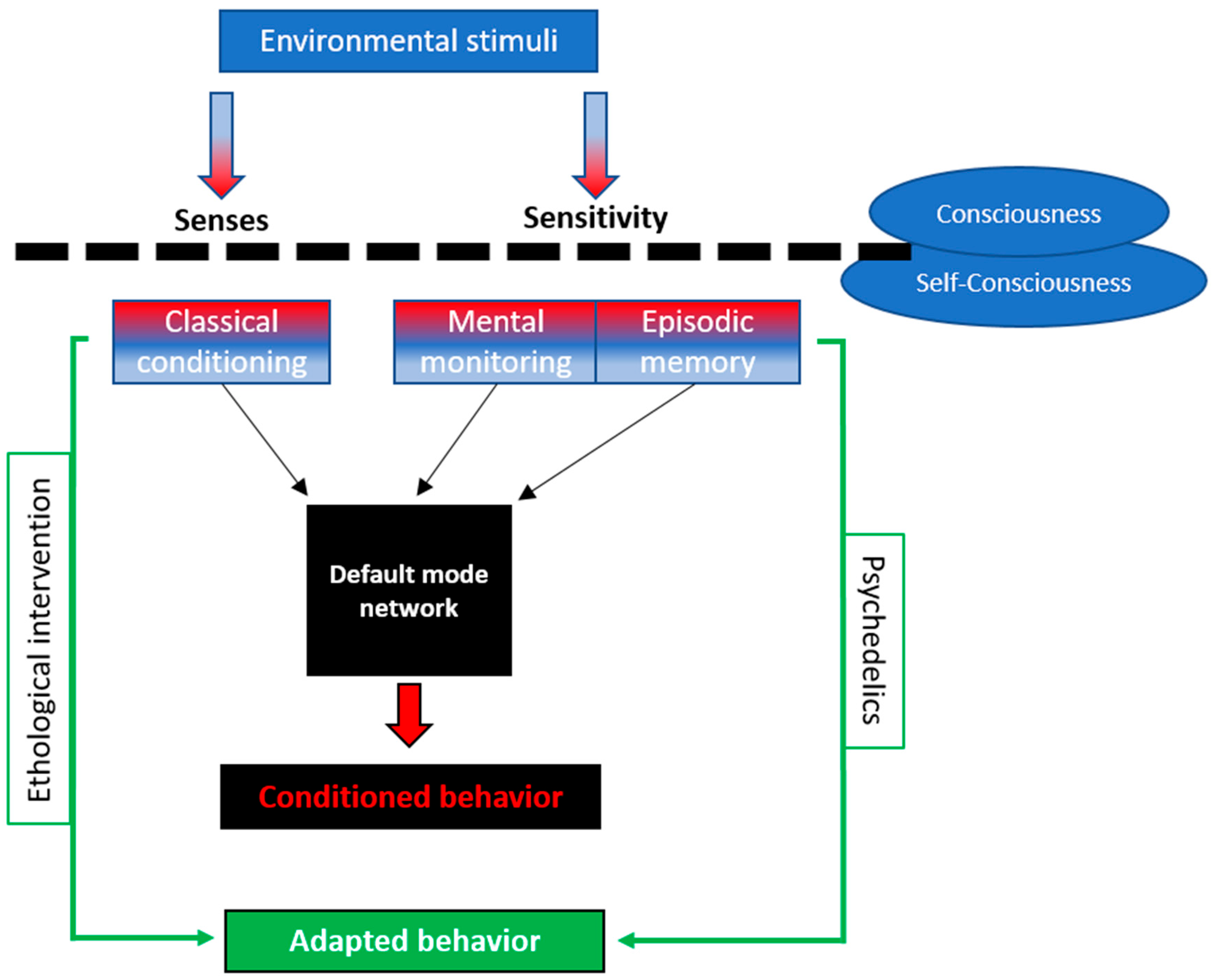 Vetsci 12 00872 g004