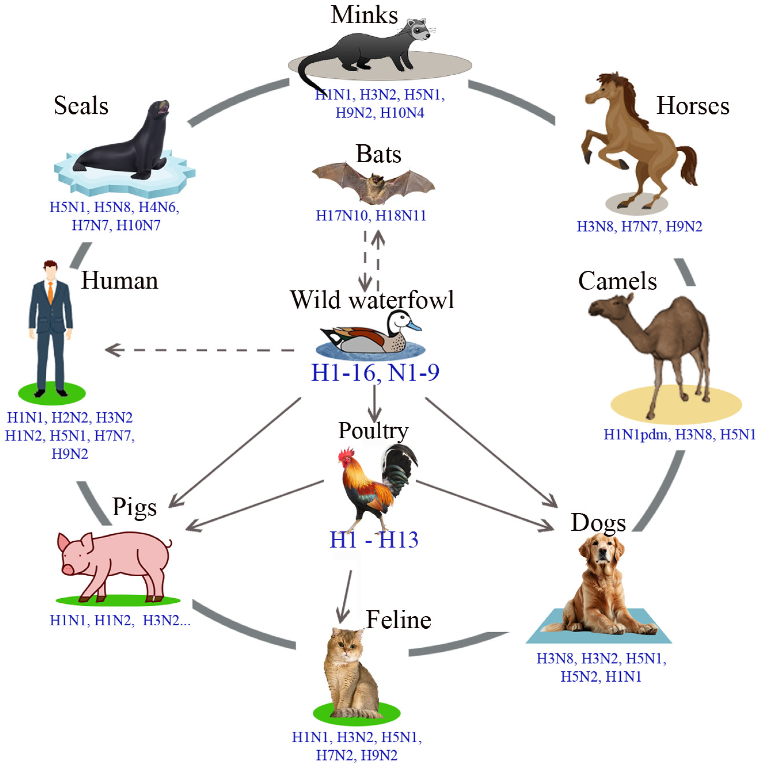 Vetsci 12 00873 g002 Vetsci 12 00873 g002