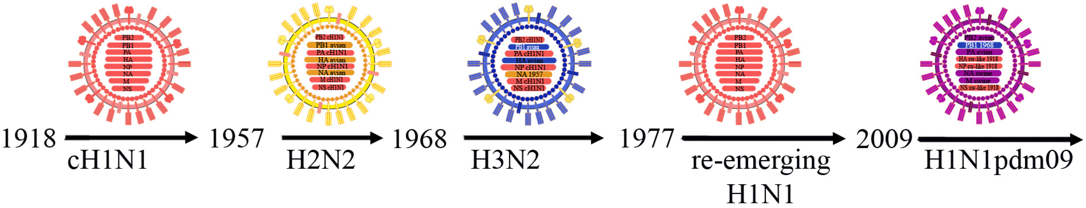 Vetsci 12 00873 g003 Vetsci 12 00873 g003