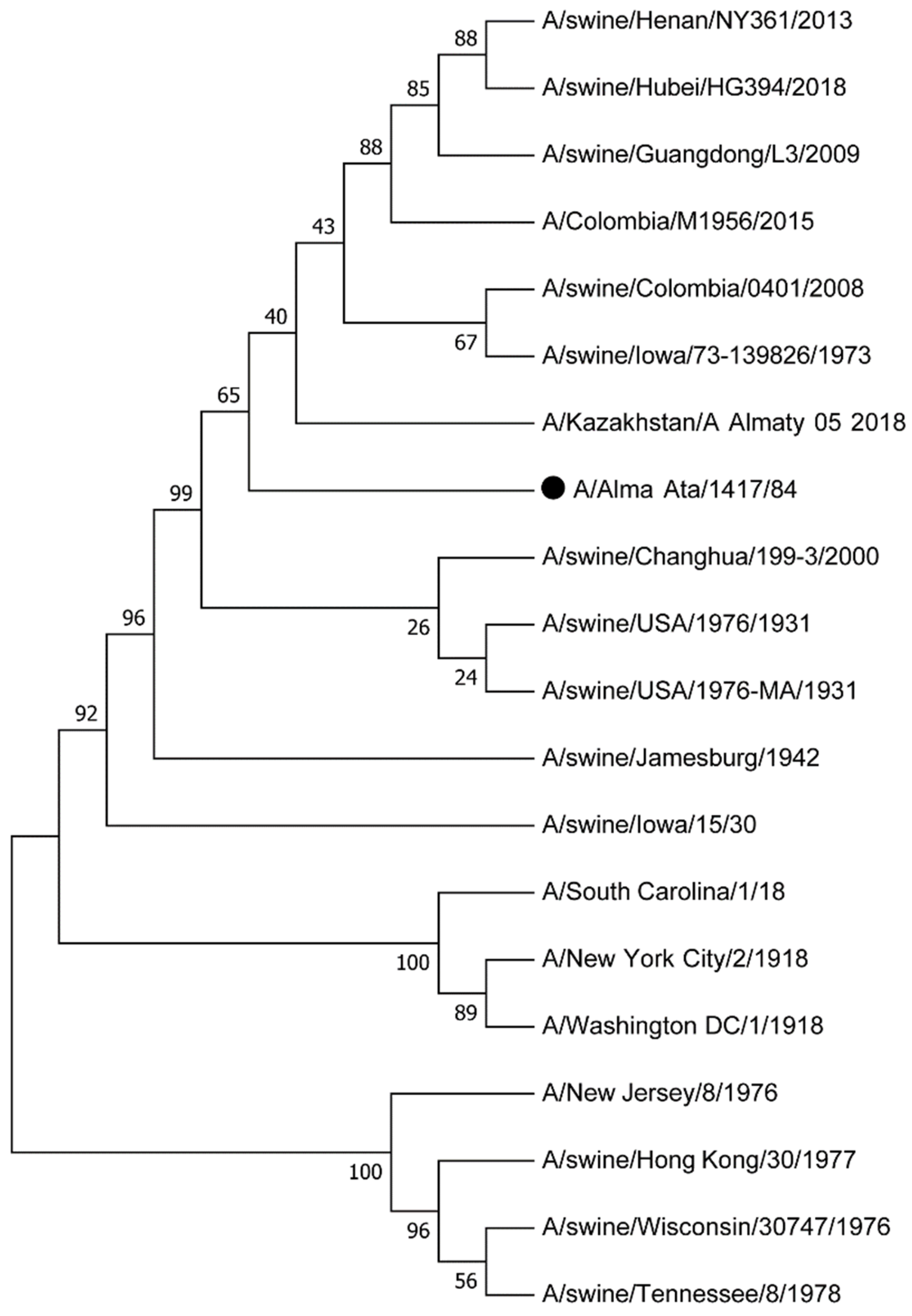 Vetsci 12 00873 g005 Vetsci 12 00873 g005