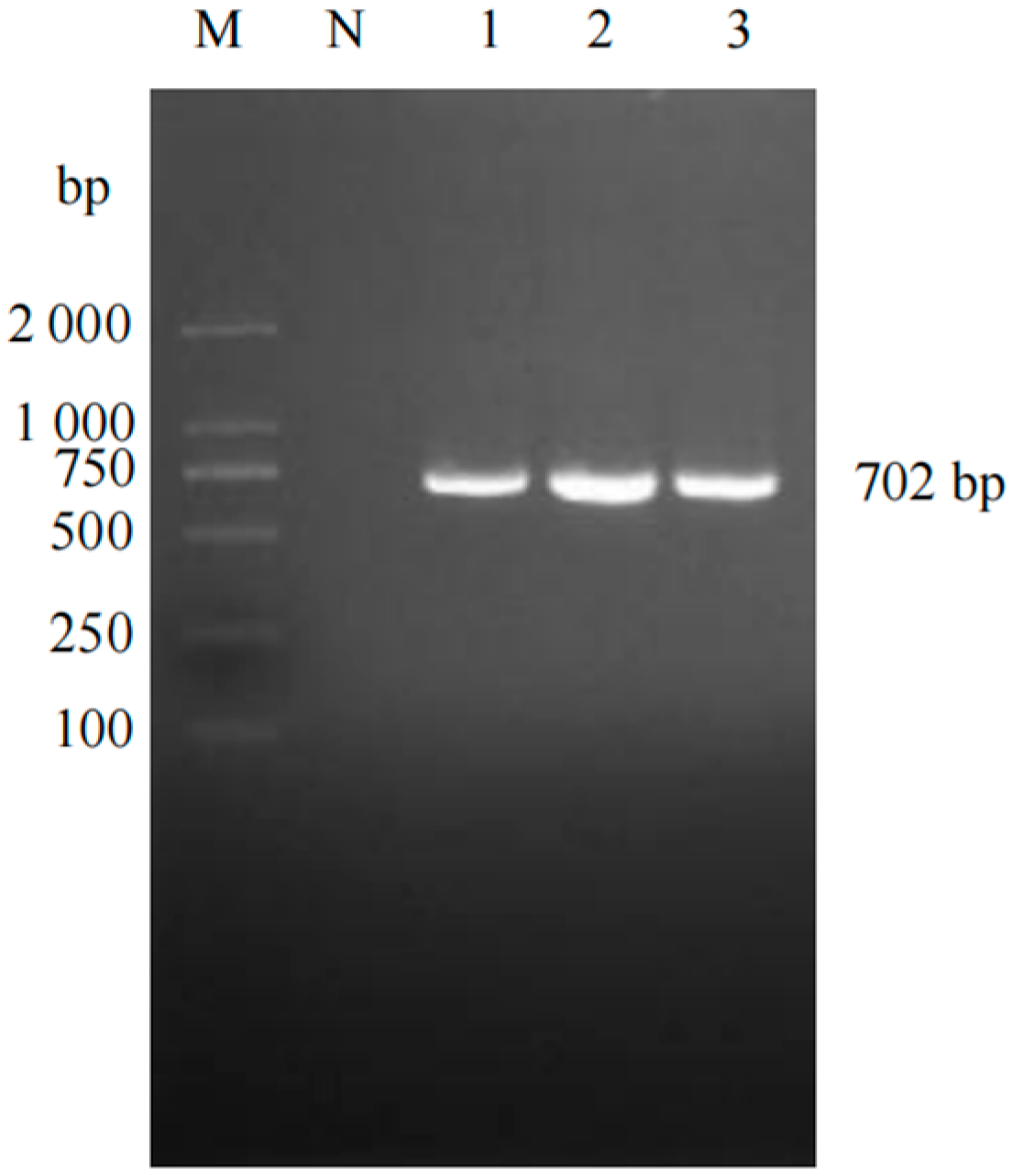 Vetsci 12 00874 g002 Vetsci 12 00874 g002