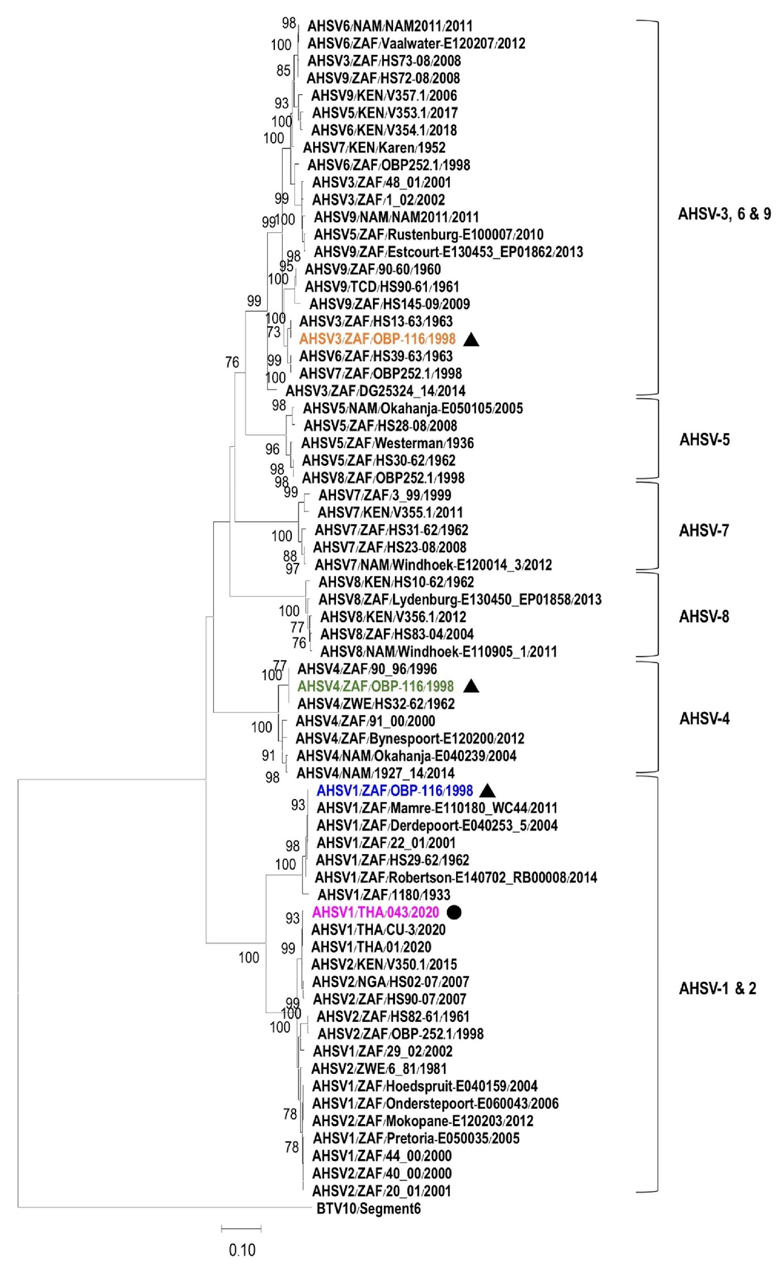 Vetsci 12 00878 g002