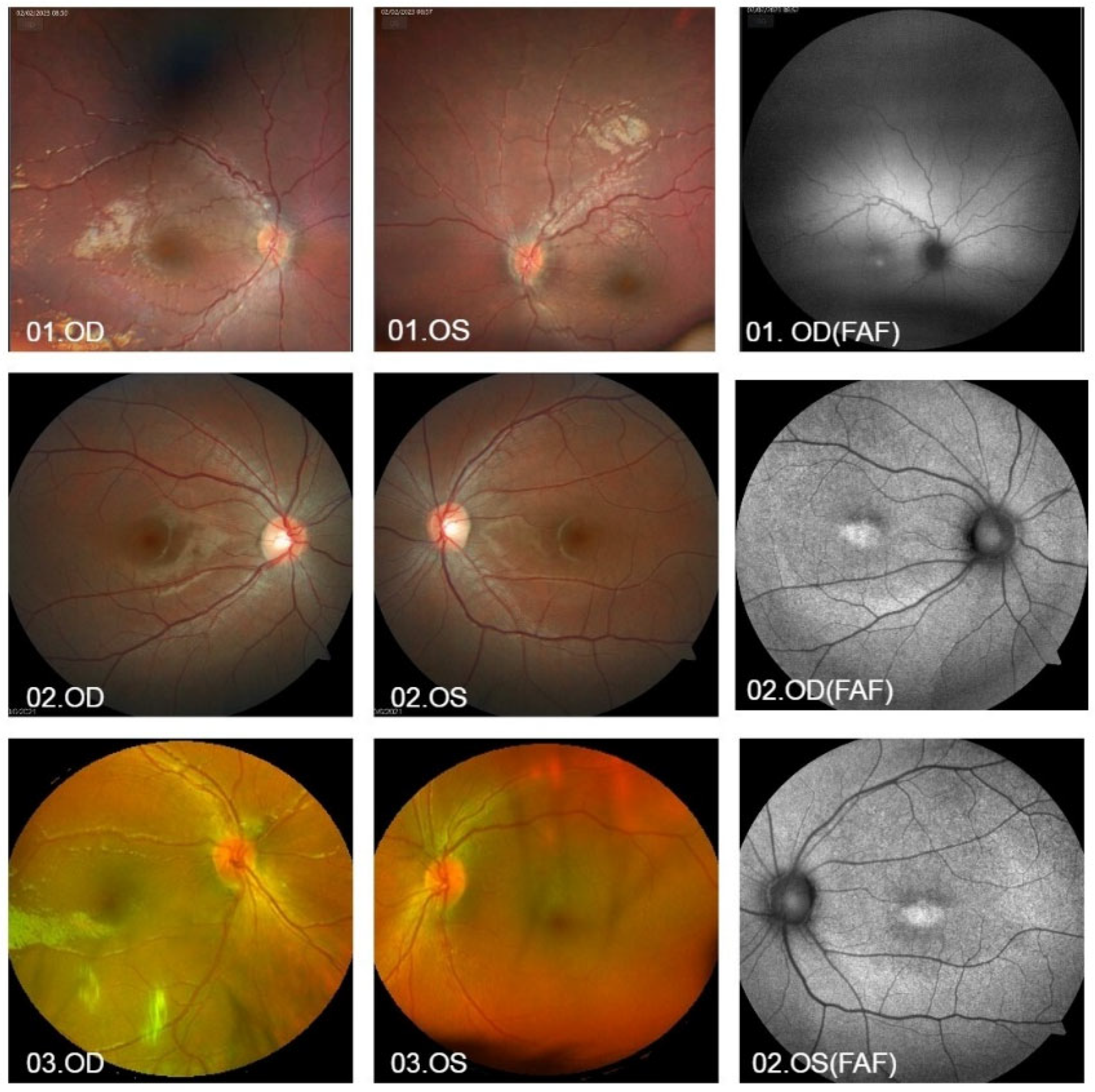 Vetsci 12 00879 g001