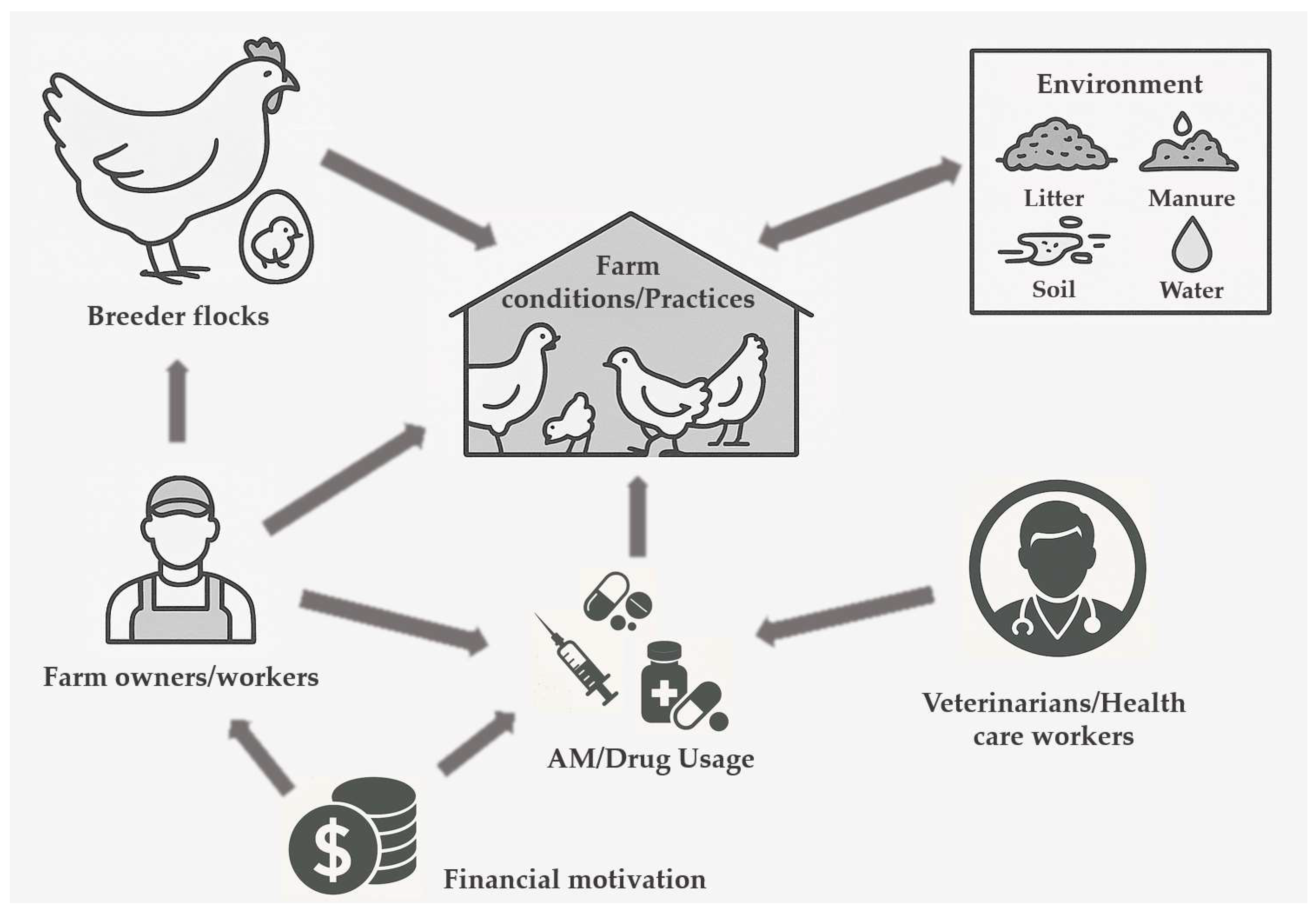 Vetsci 12 00881 g003