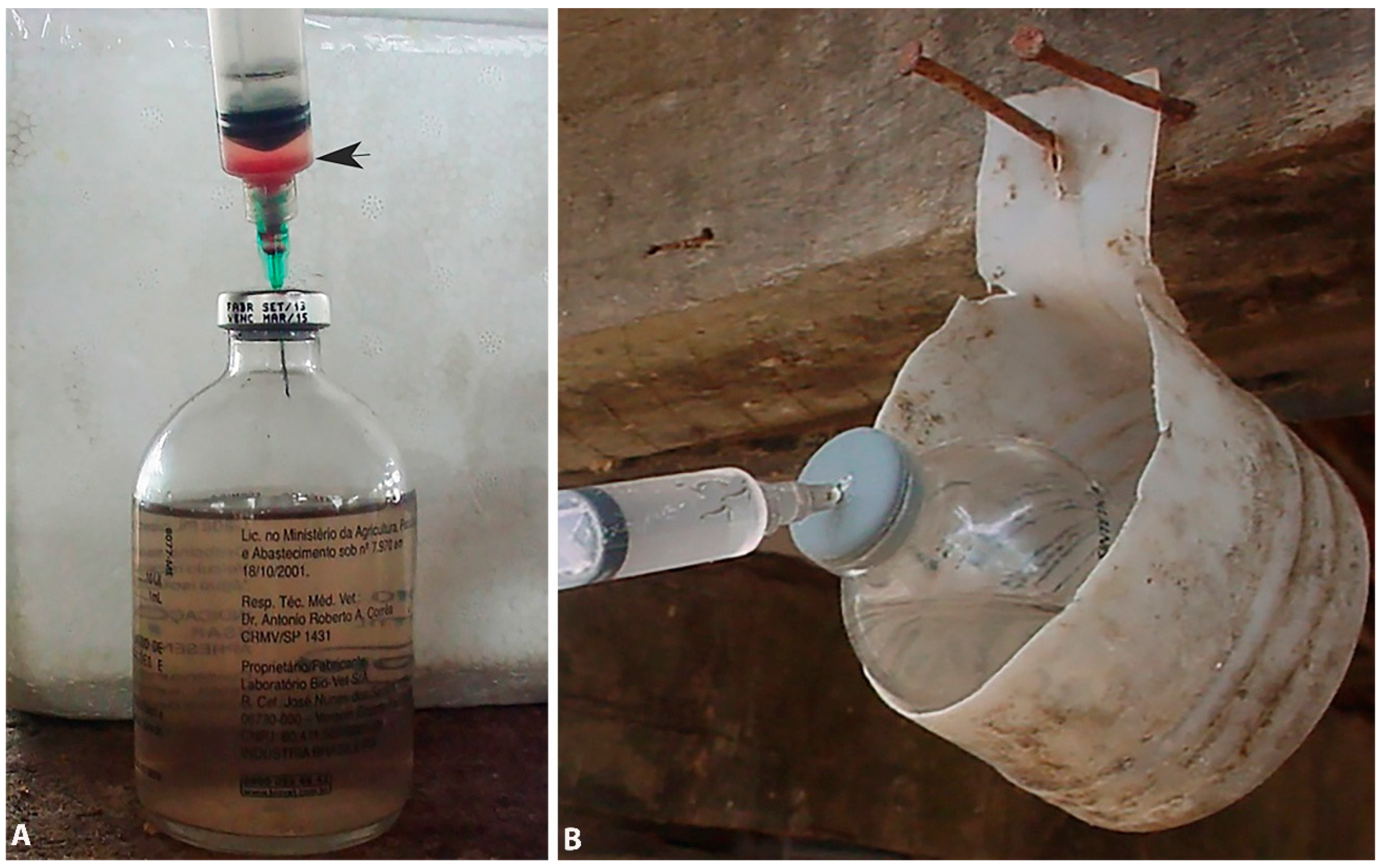 Vetsci 12 00882 g001 Vetsci 12 00882 g001