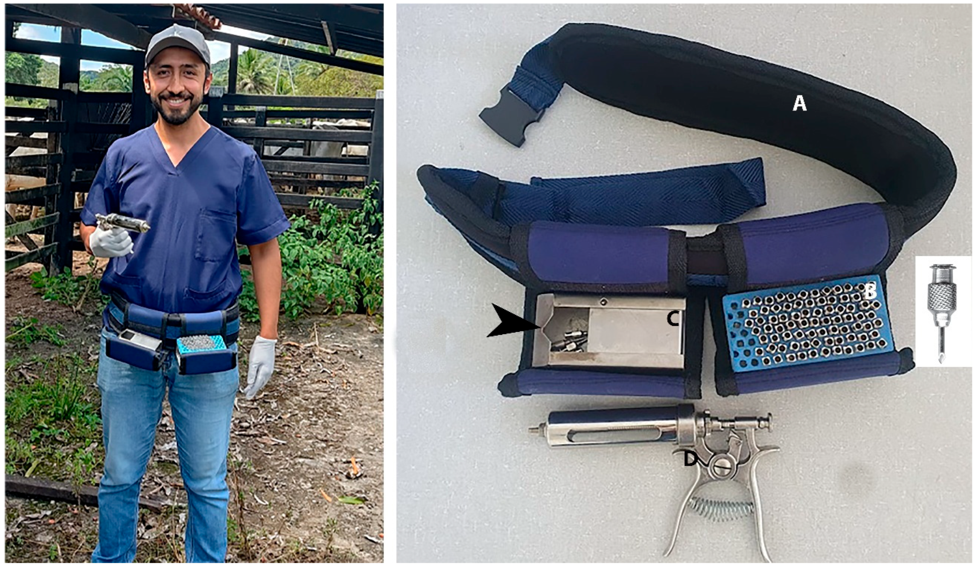 Vetsci 12 00882 g004 Vetsci 12 00882 g004