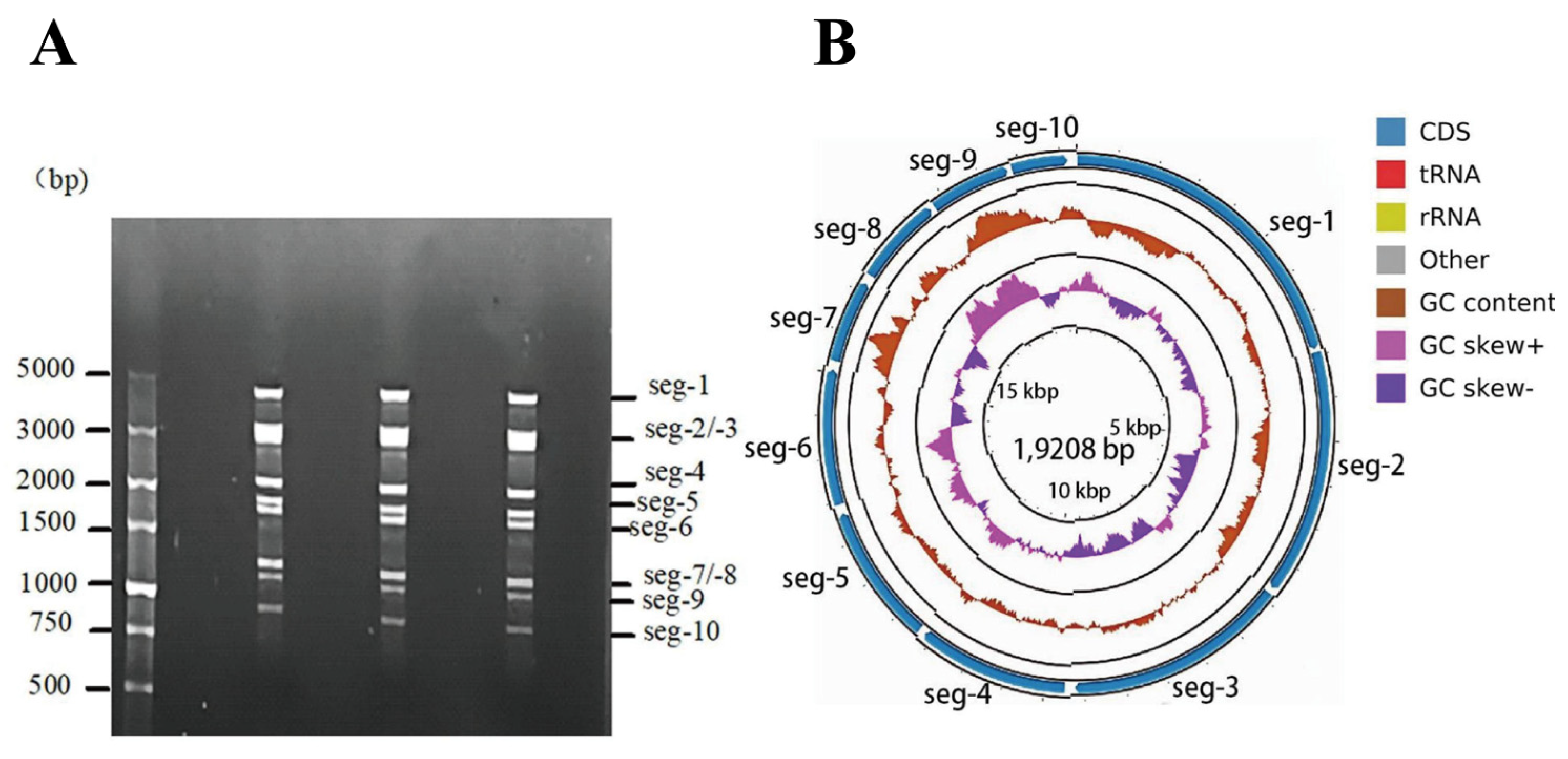 Vetsci 12 00886 g001