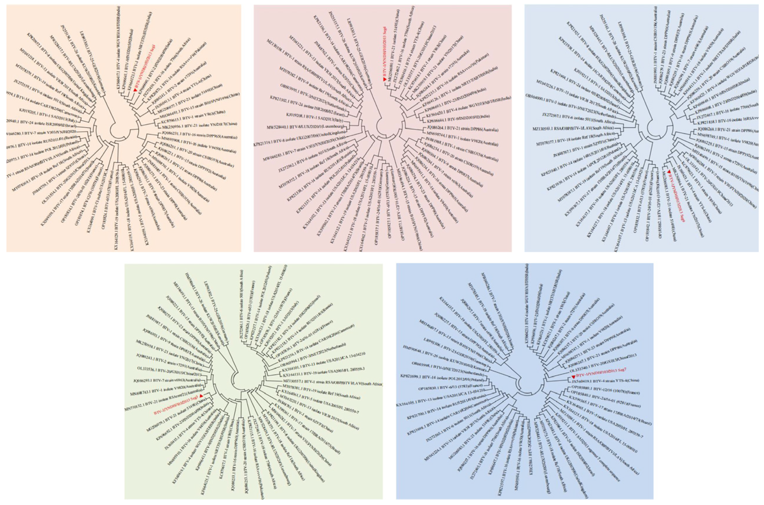 Vetsci 12 00886 g003