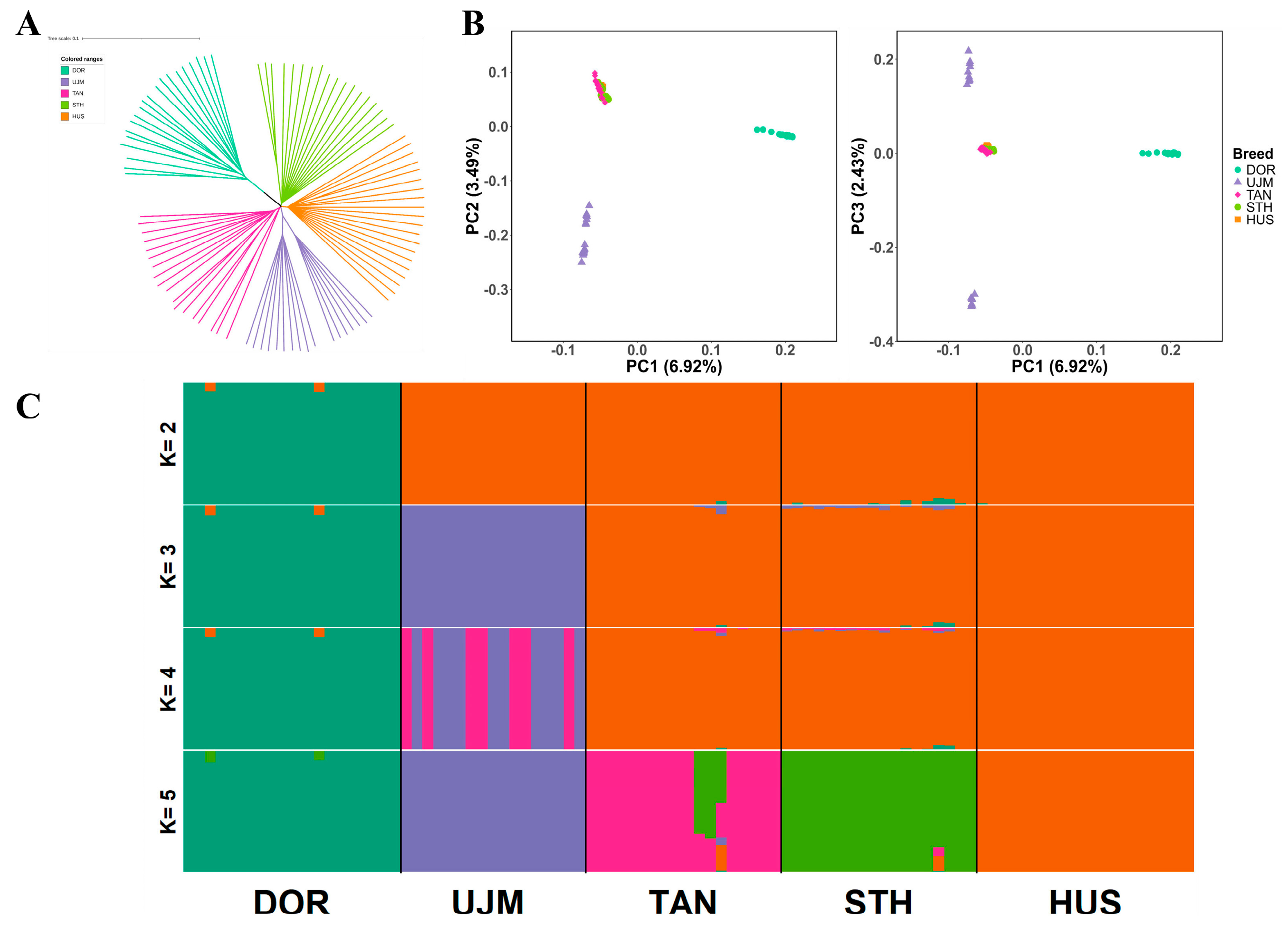 Vetsci 12 00887 g001