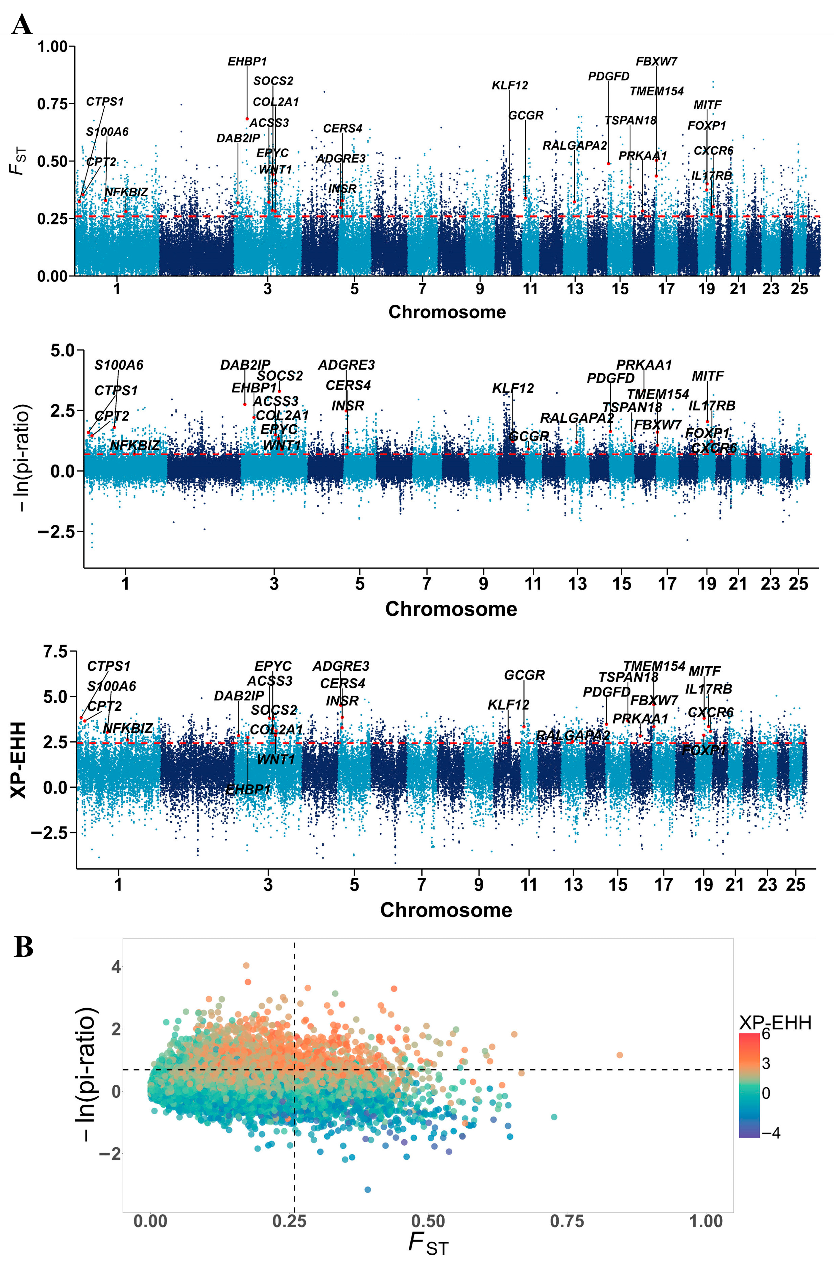 Vetsci 12 00887 g003