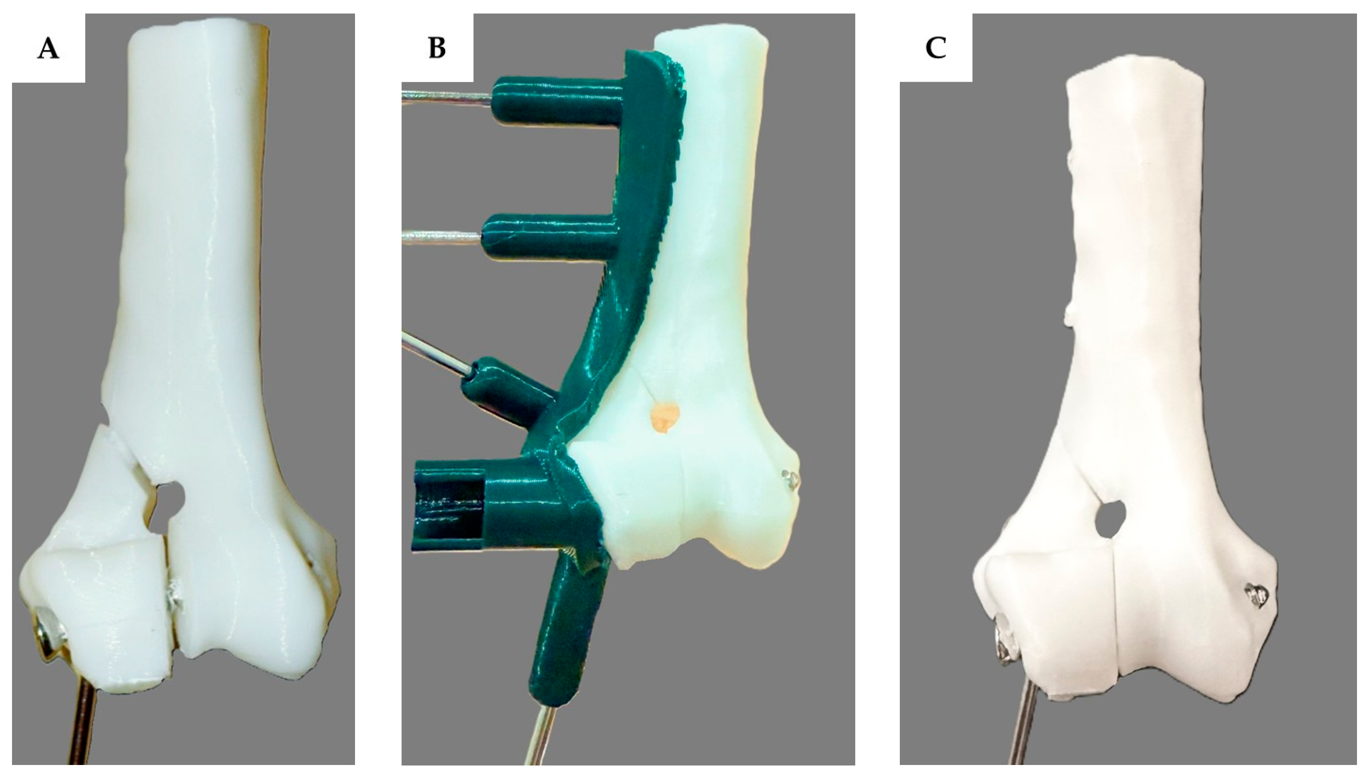 Vetsci 12 00888 g003 Vetsci 12 00888 g003